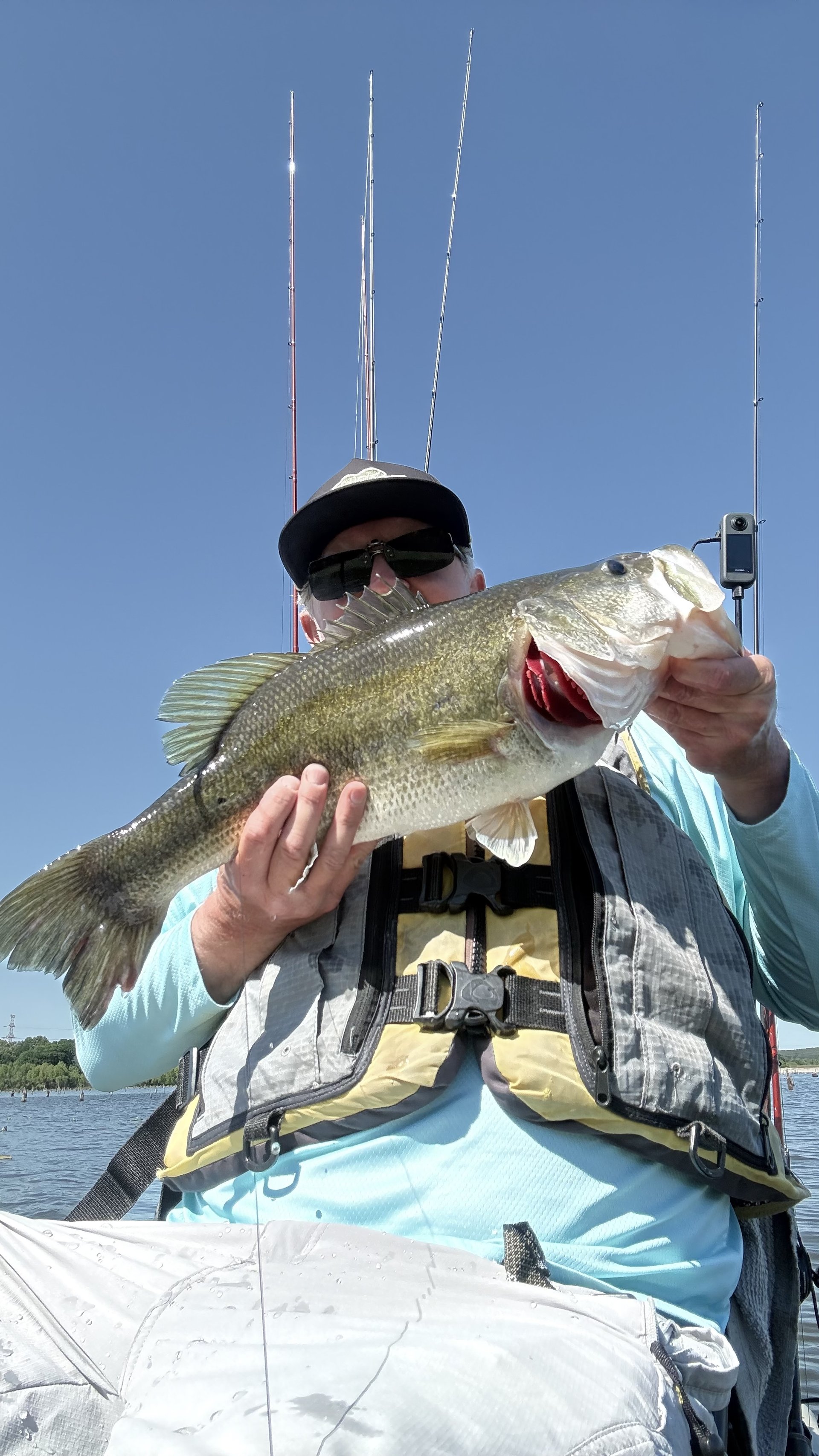 Largemouth Bass