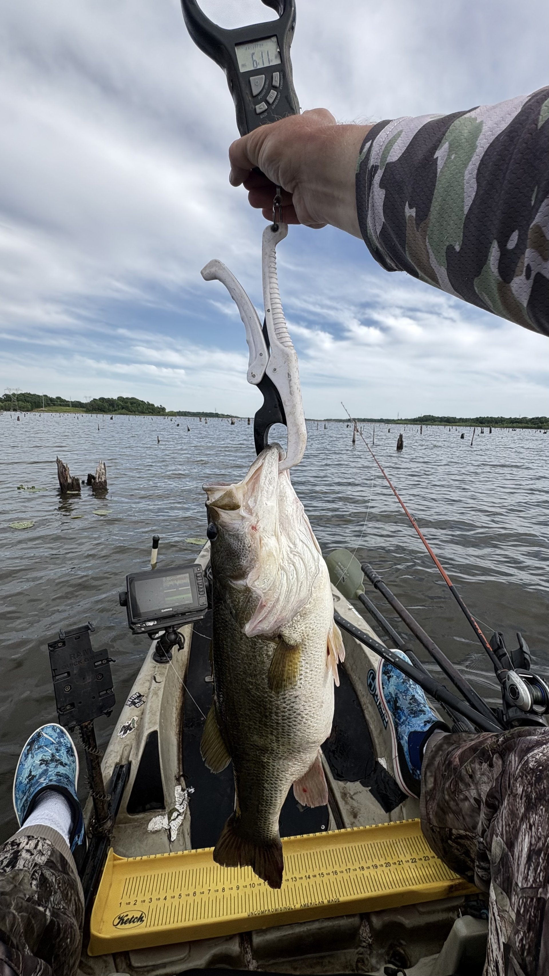Largemouth Bass