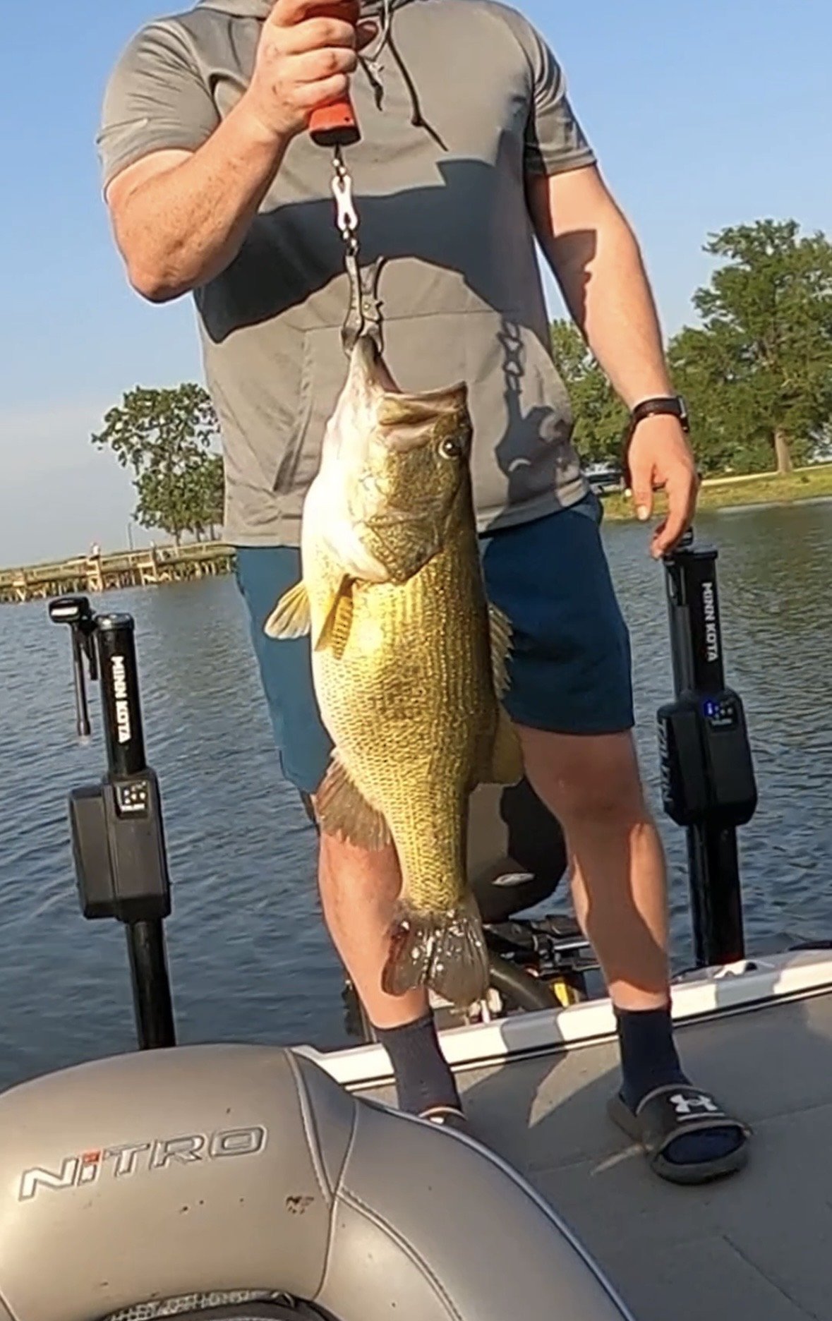 Largemouth Bass catch photo 2