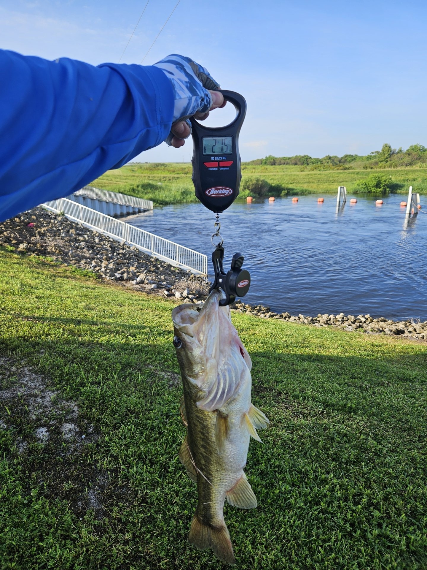 Largemouth Bass catch photo 2