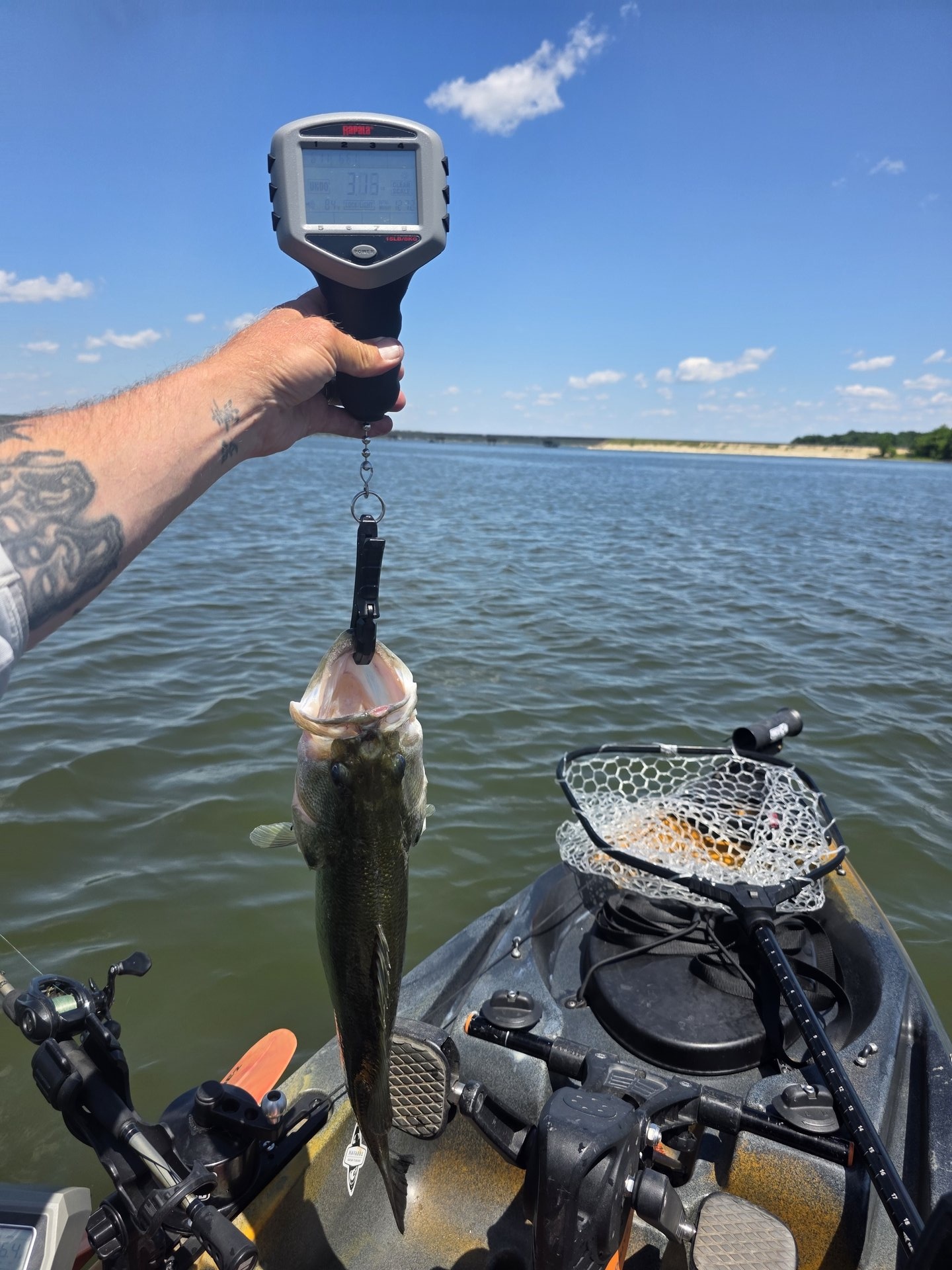 Largemouth Bass catch photo 2