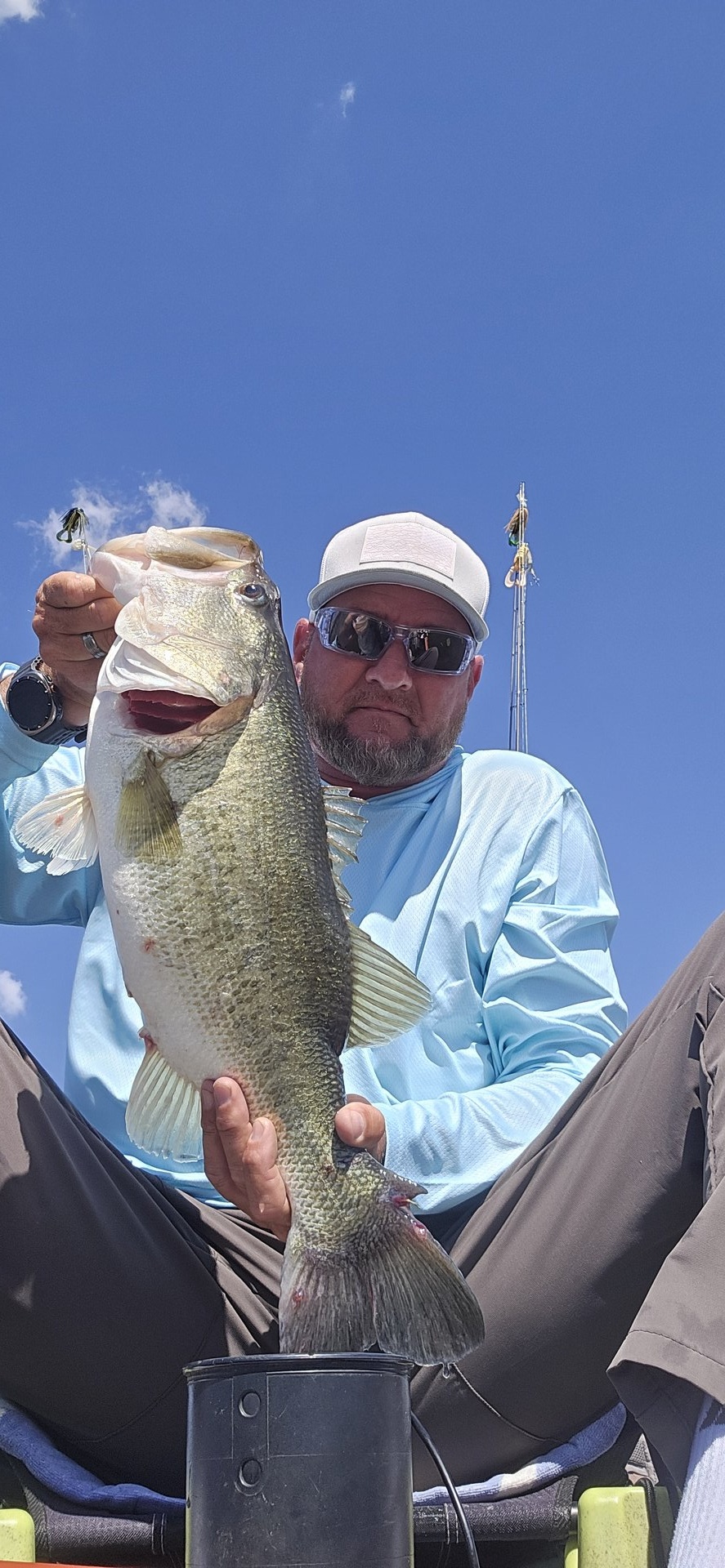 Largemouth Bass