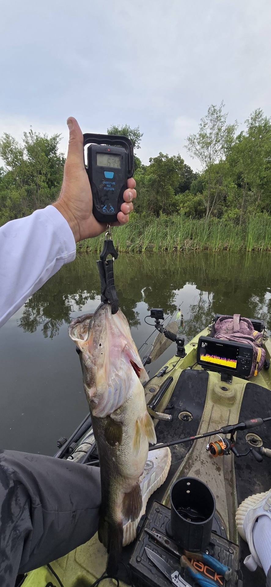Largemouth Bass