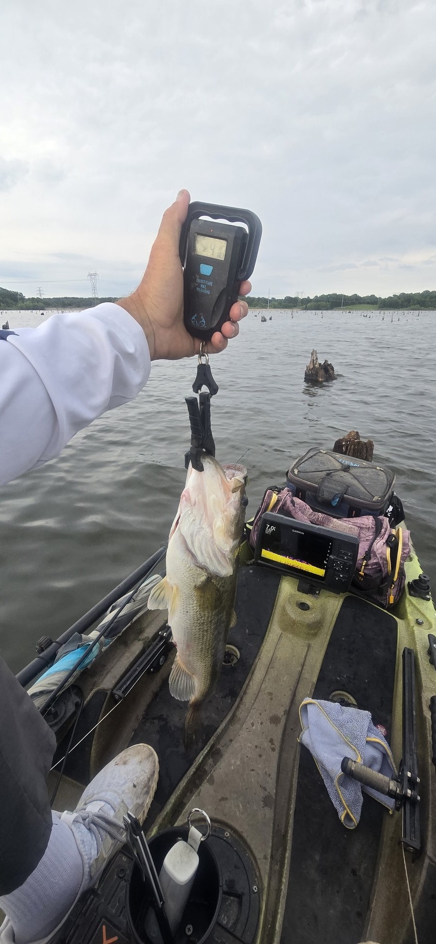twhite_fishing · Fish on Scale