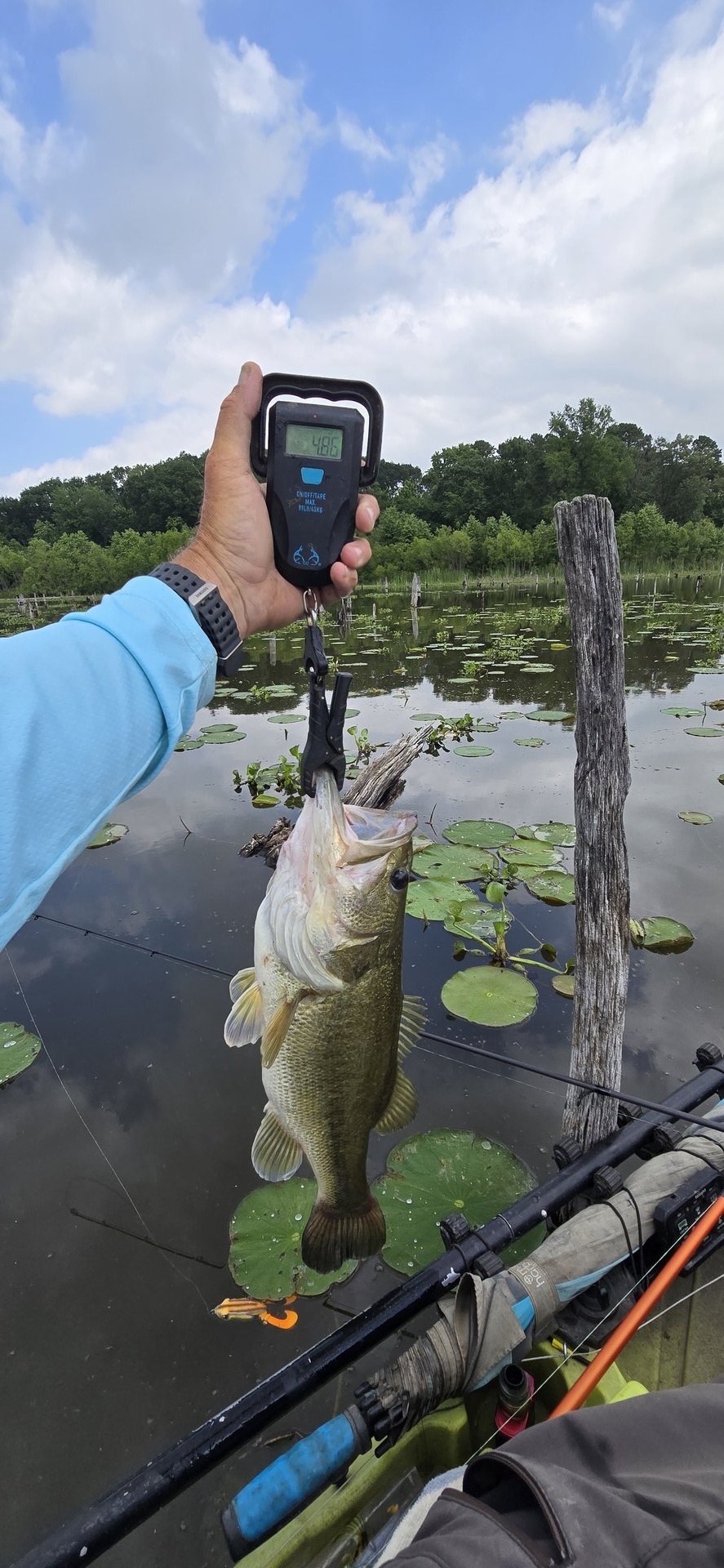 twhite_fishing · Fish on Scale