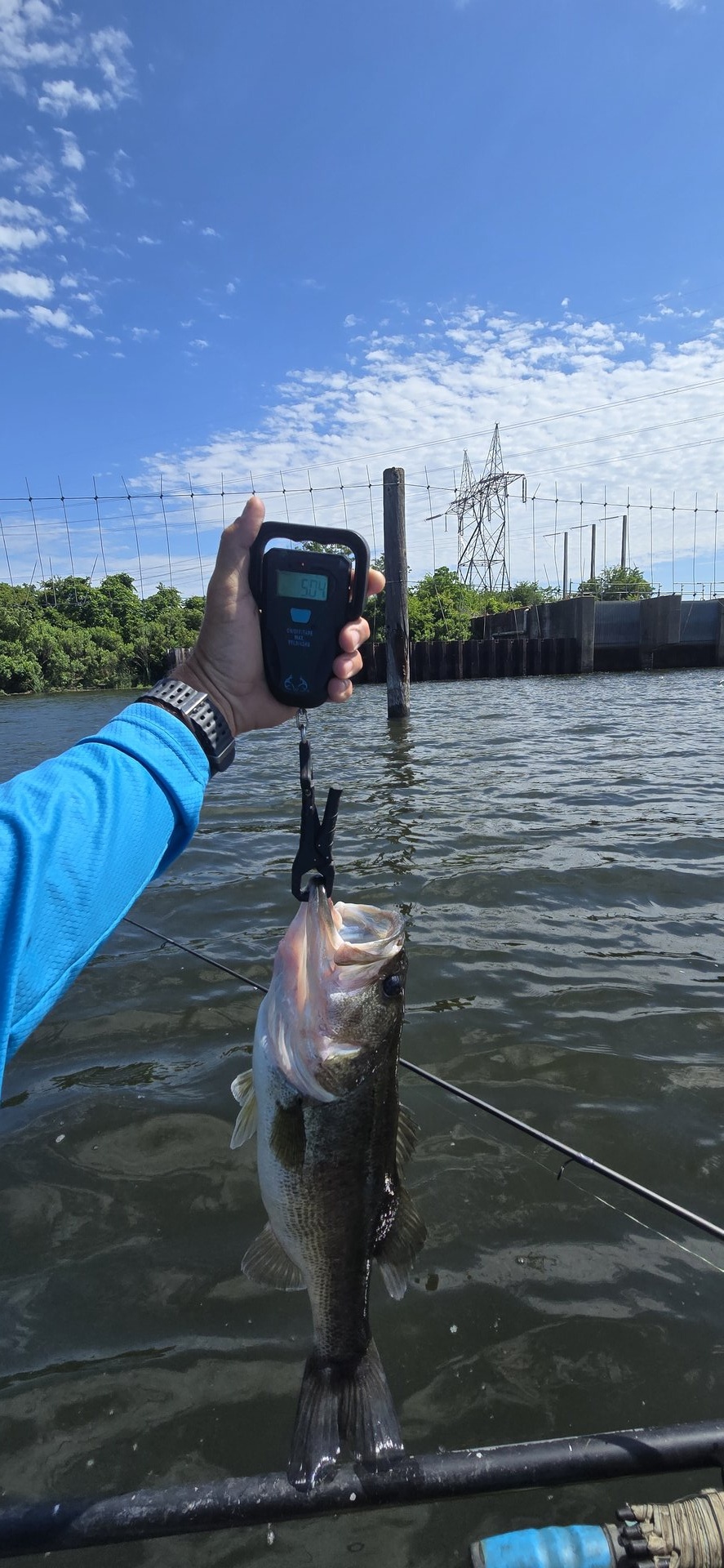 twhite_fishing · Fish on Scale