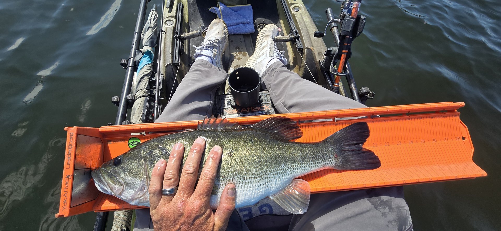 twhite_fishing · Fish on Measuring Board