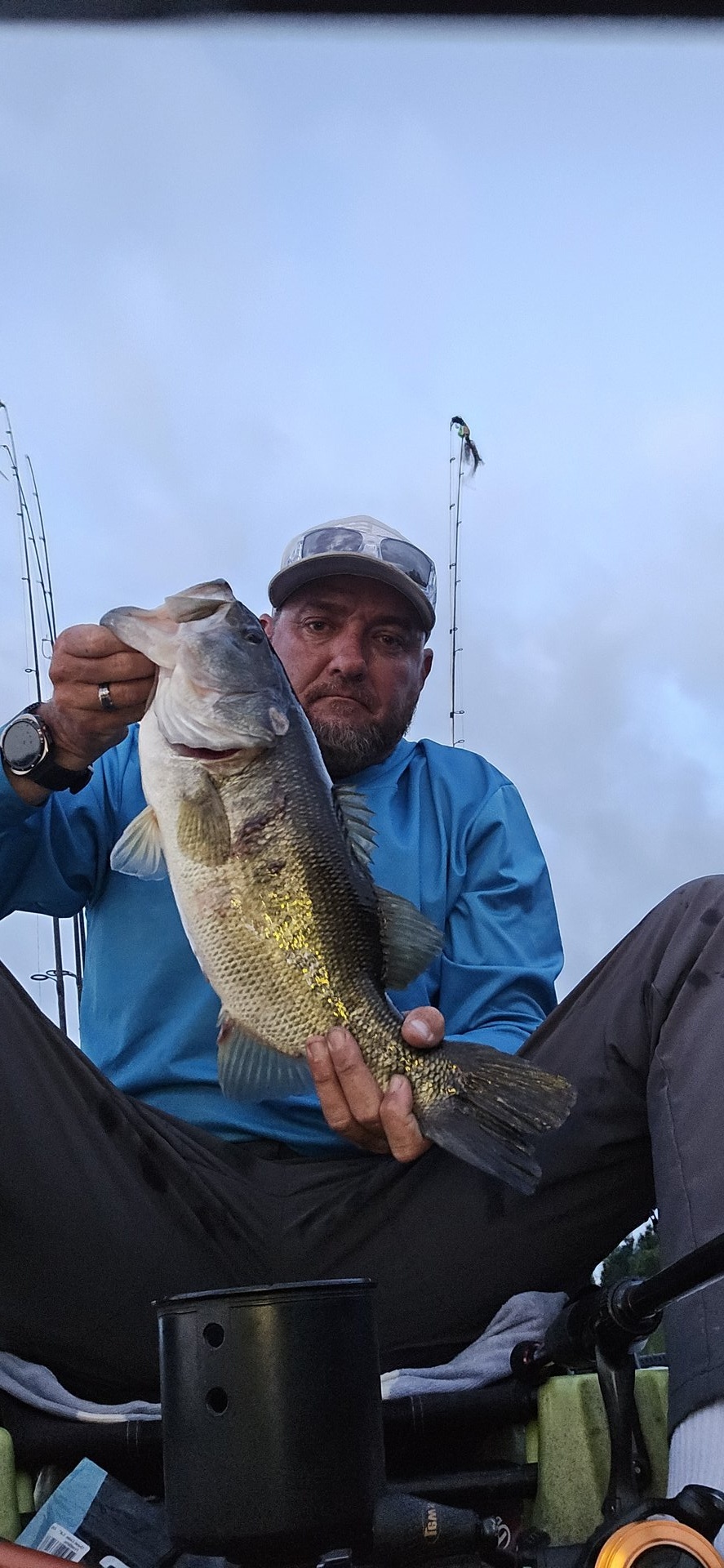 Largemouth Bass