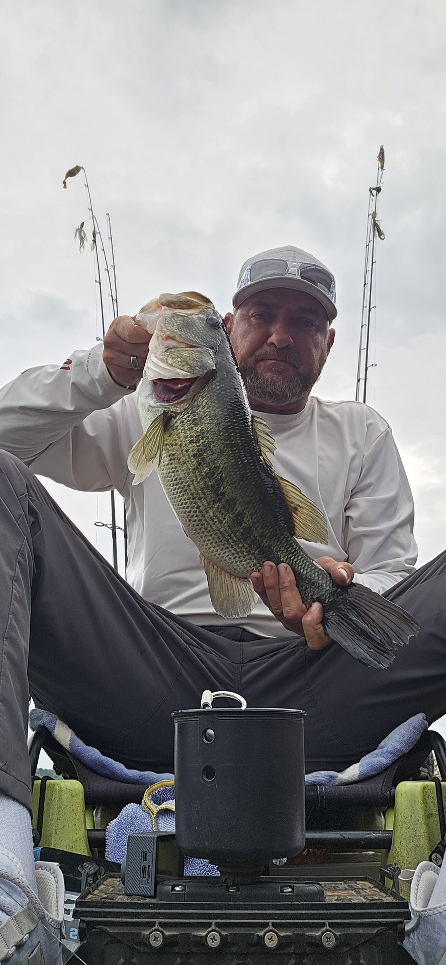 Largemouth Bass