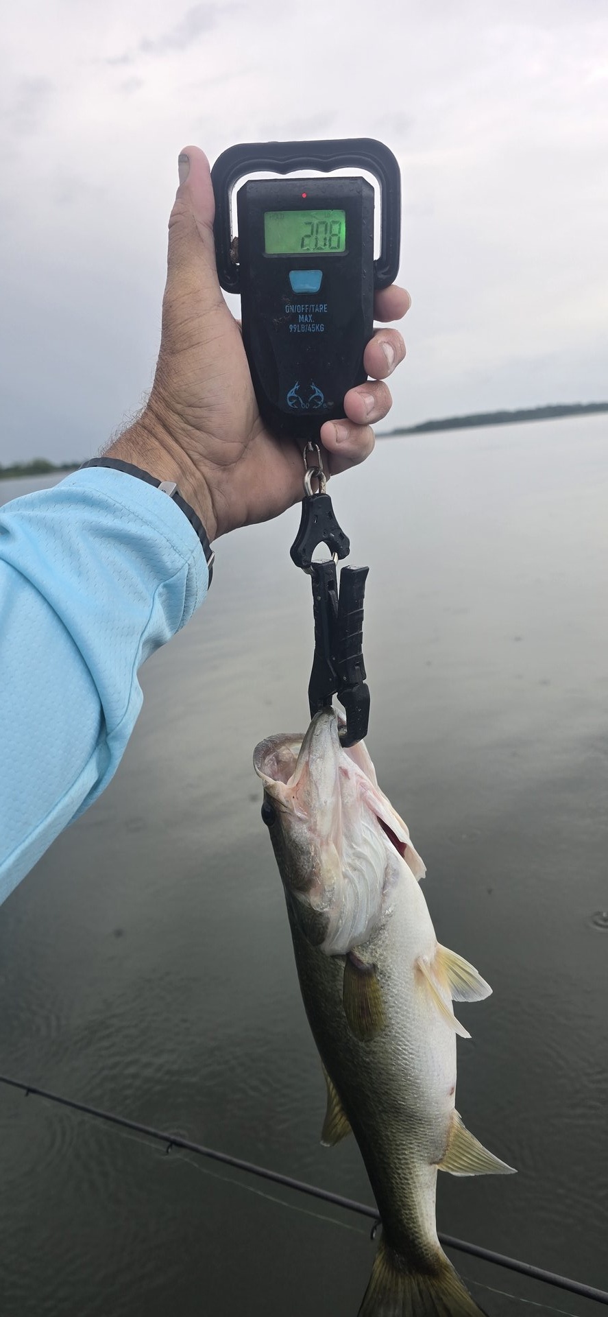 twhite_fishing · Fish on Scale