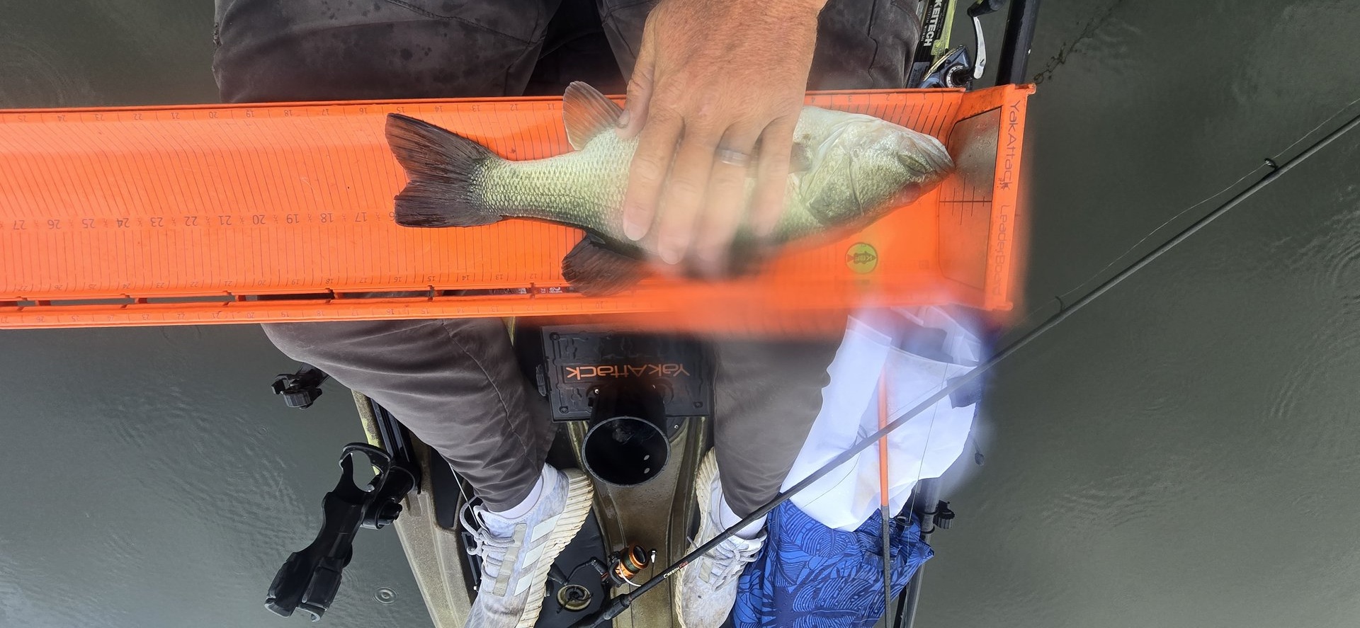 twhite_fishing · Fish on Measuring Board