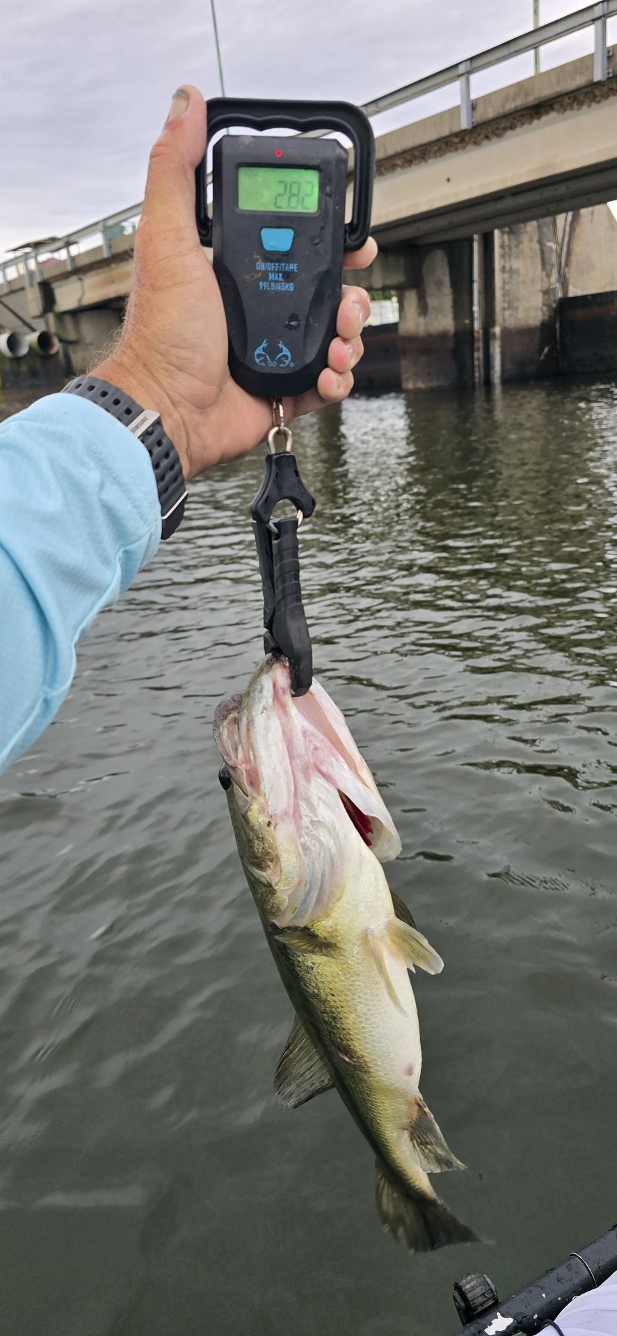 twhite_fishing · Fish on Scale