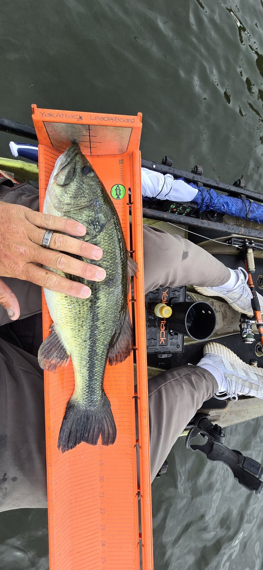 twhite_fishing · Fish on Measuring Board
