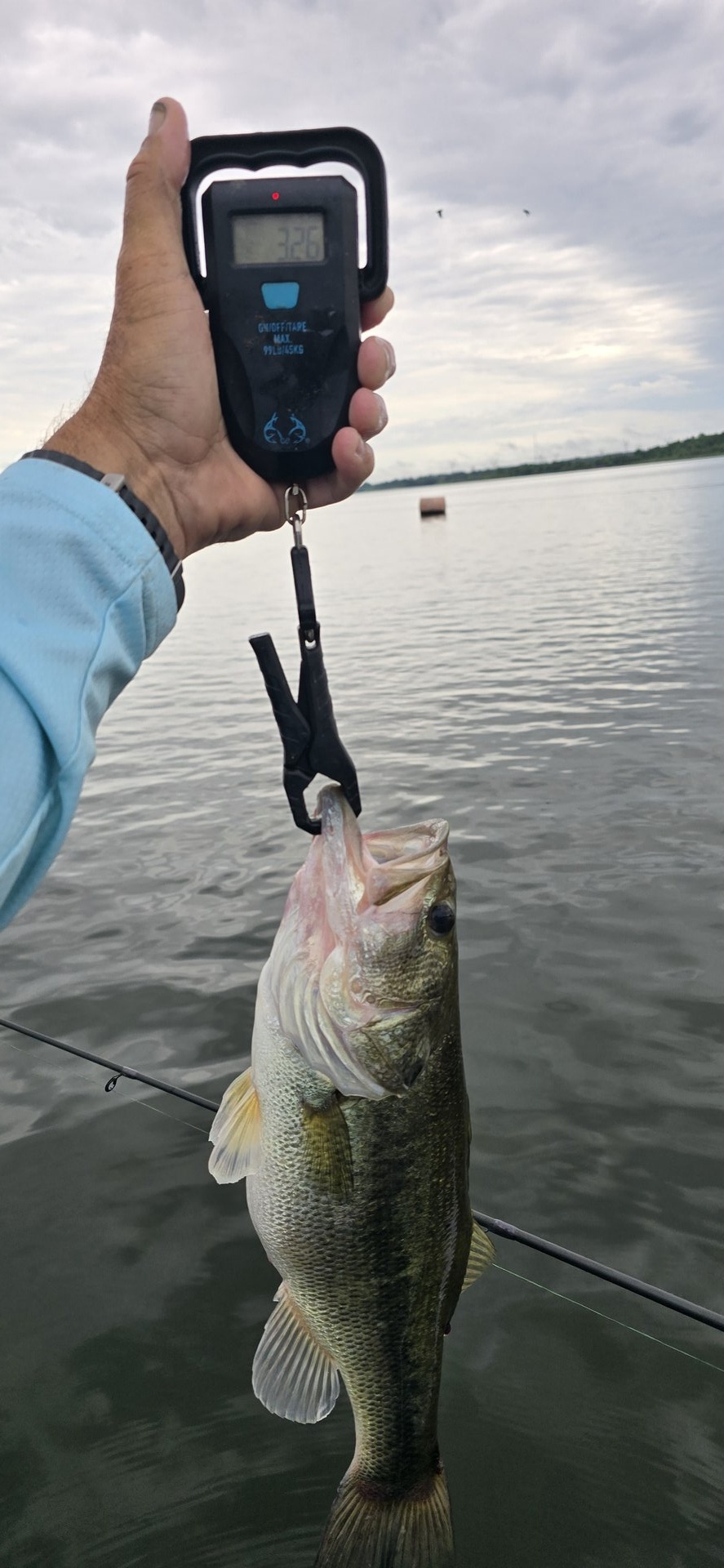 twhite_fishing · Fish on Scale