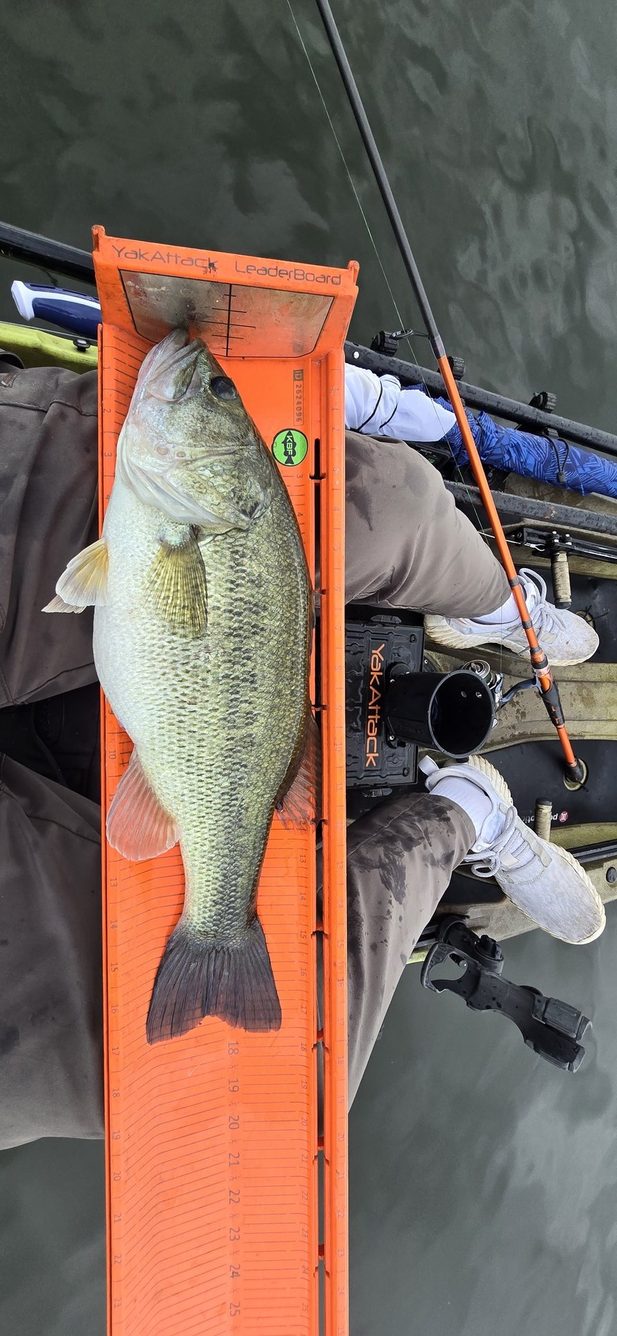 twhite_fishing · Fish on Measuring Board