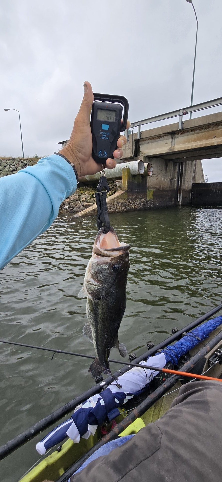 twhite_fishing · Fish on Scale