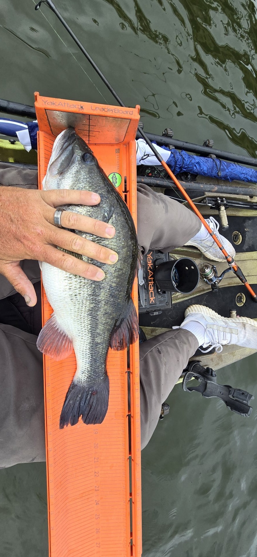 twhite_fishing · Fish on Measuring Board