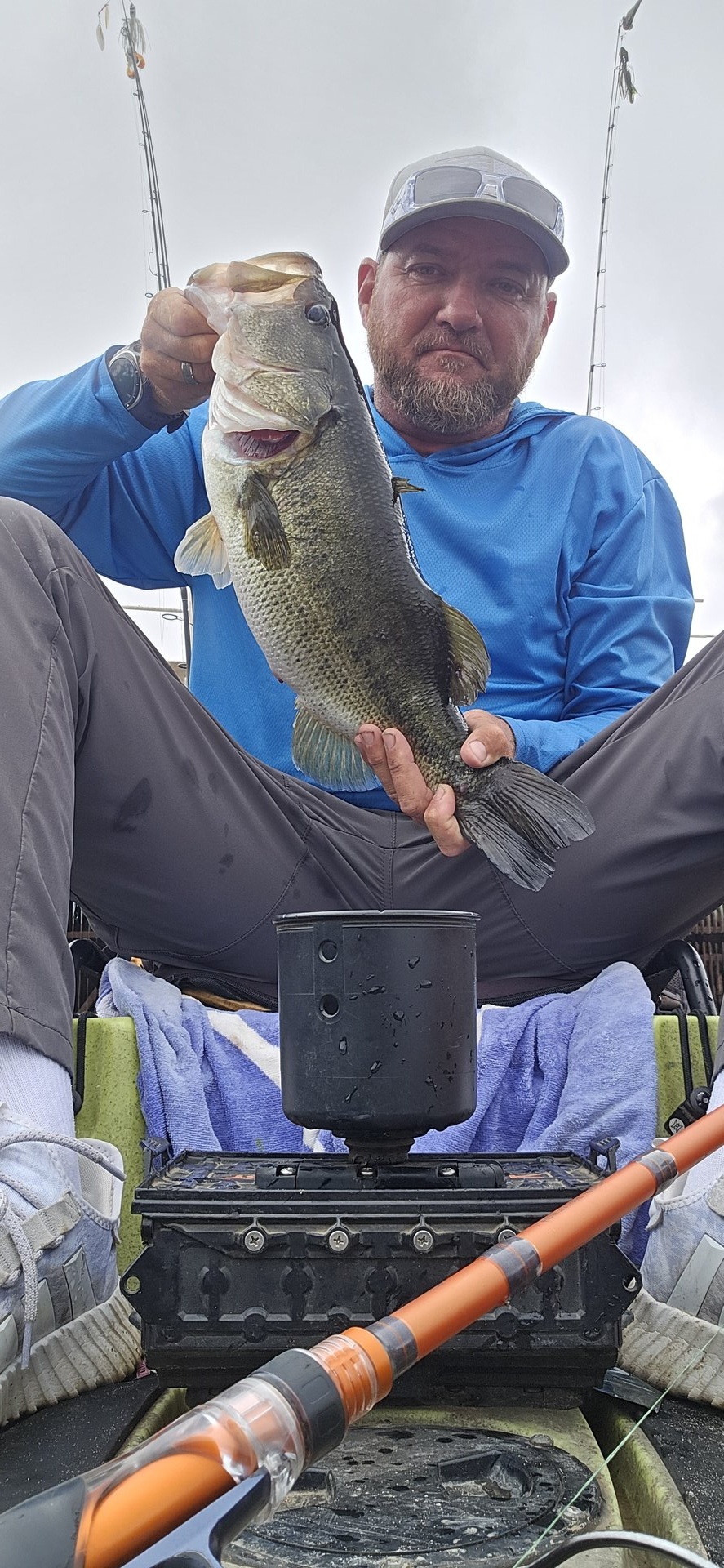 Largemouth Bass