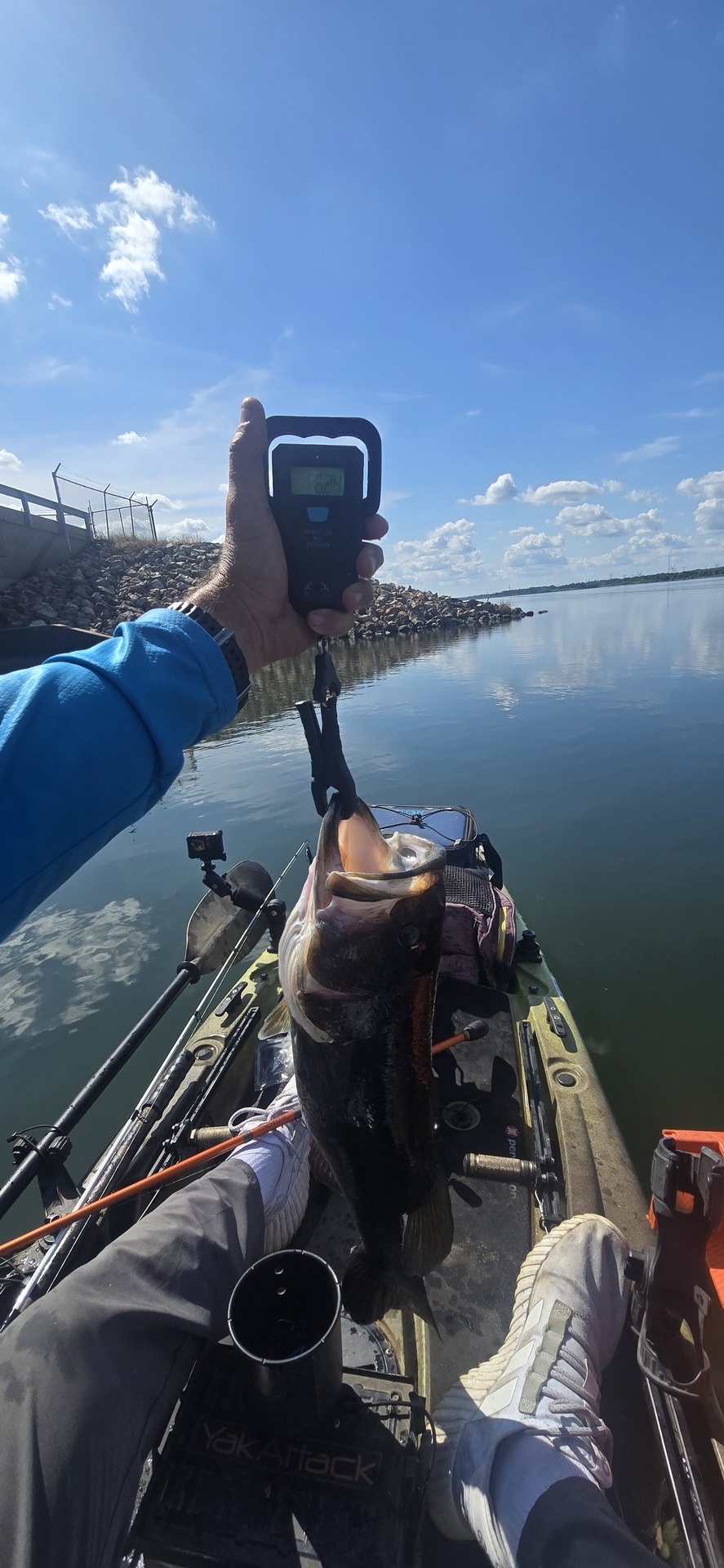 Largemouth Bass