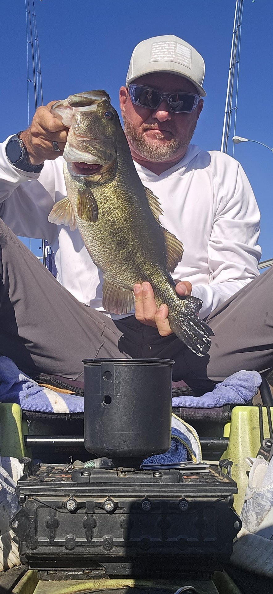Largemouth Bass