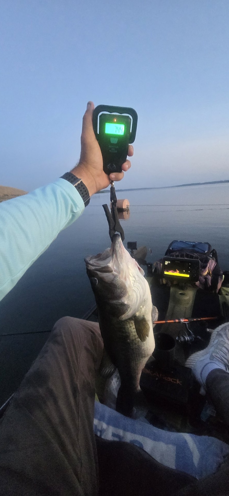 Largemouth Bass