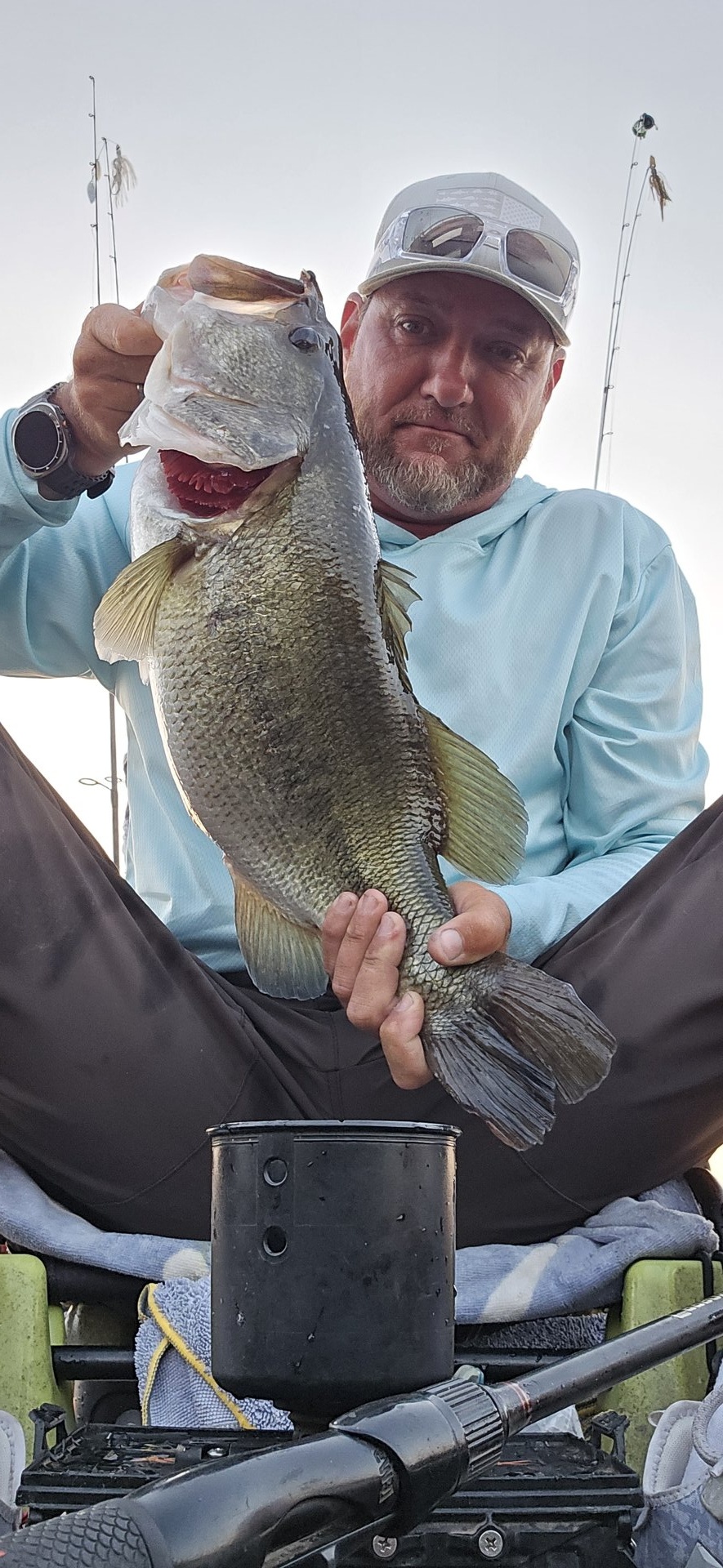 Largemouth Bass