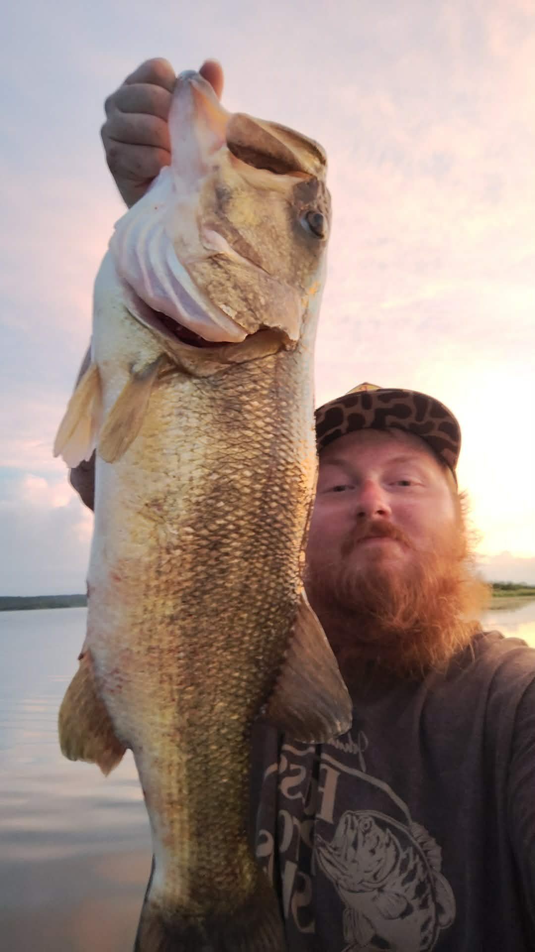 Largemouth Bass catch photo 1