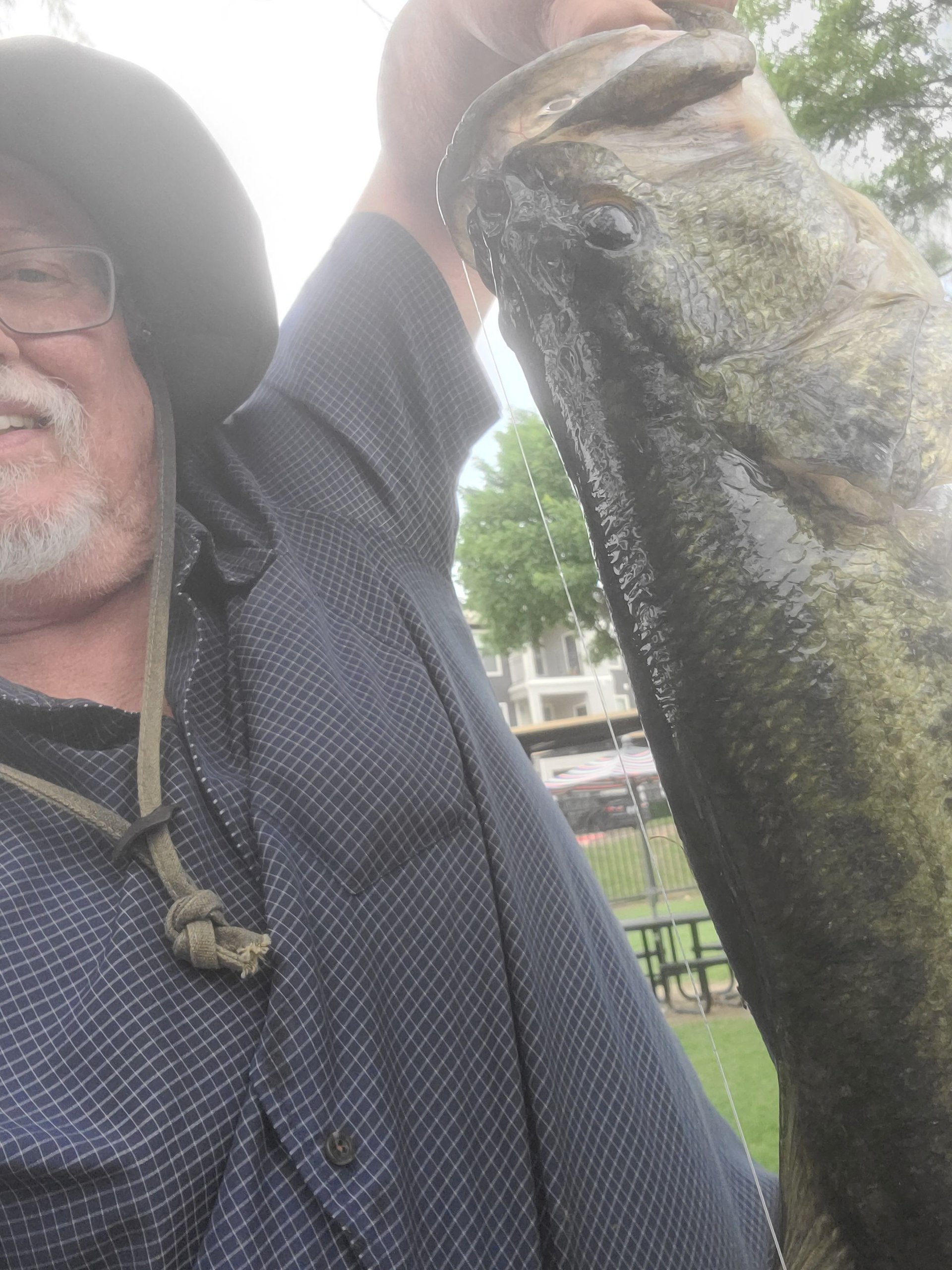 Largemouth Bass catch photo 1