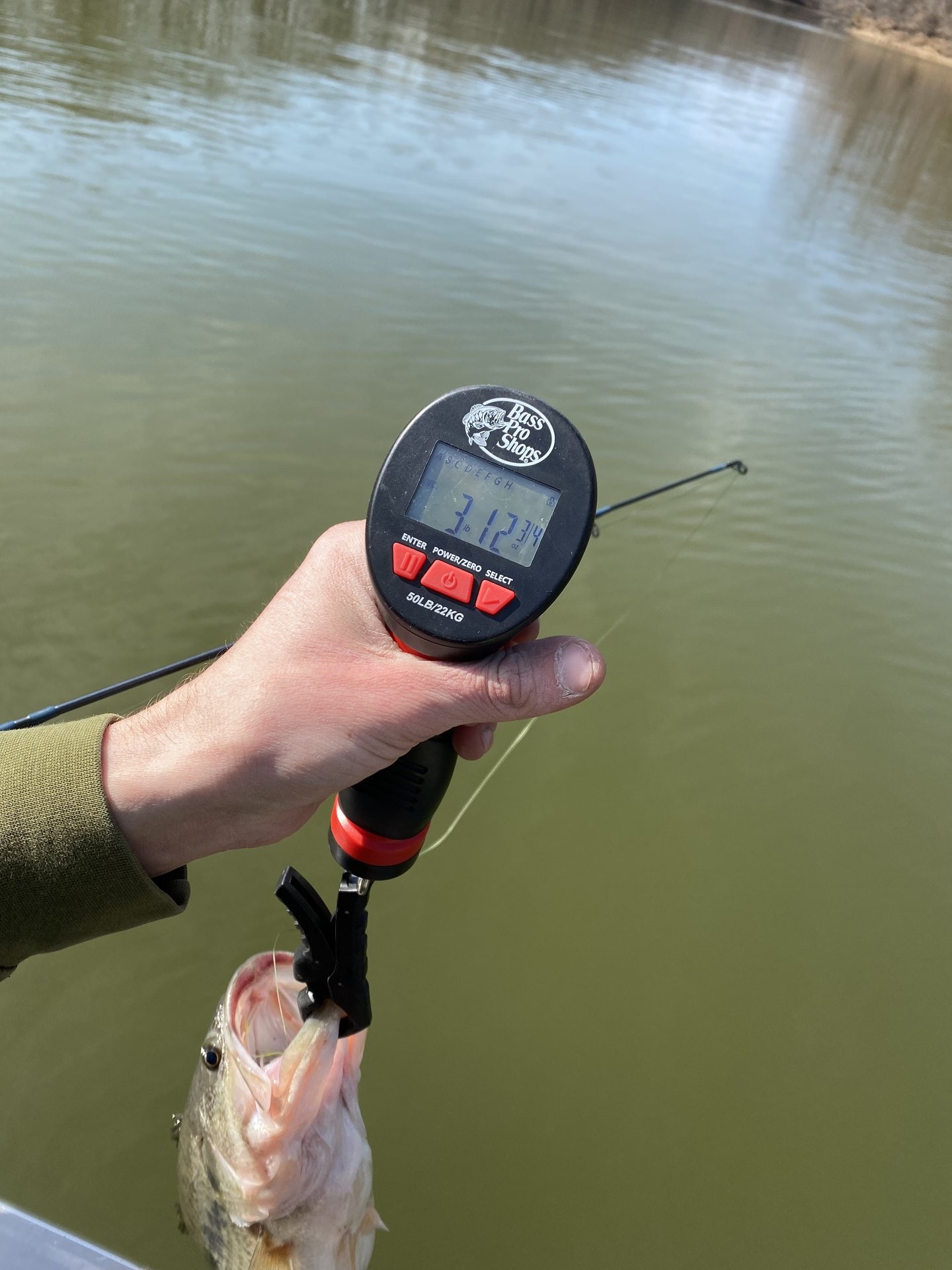Largemouth Bass catch photo 2