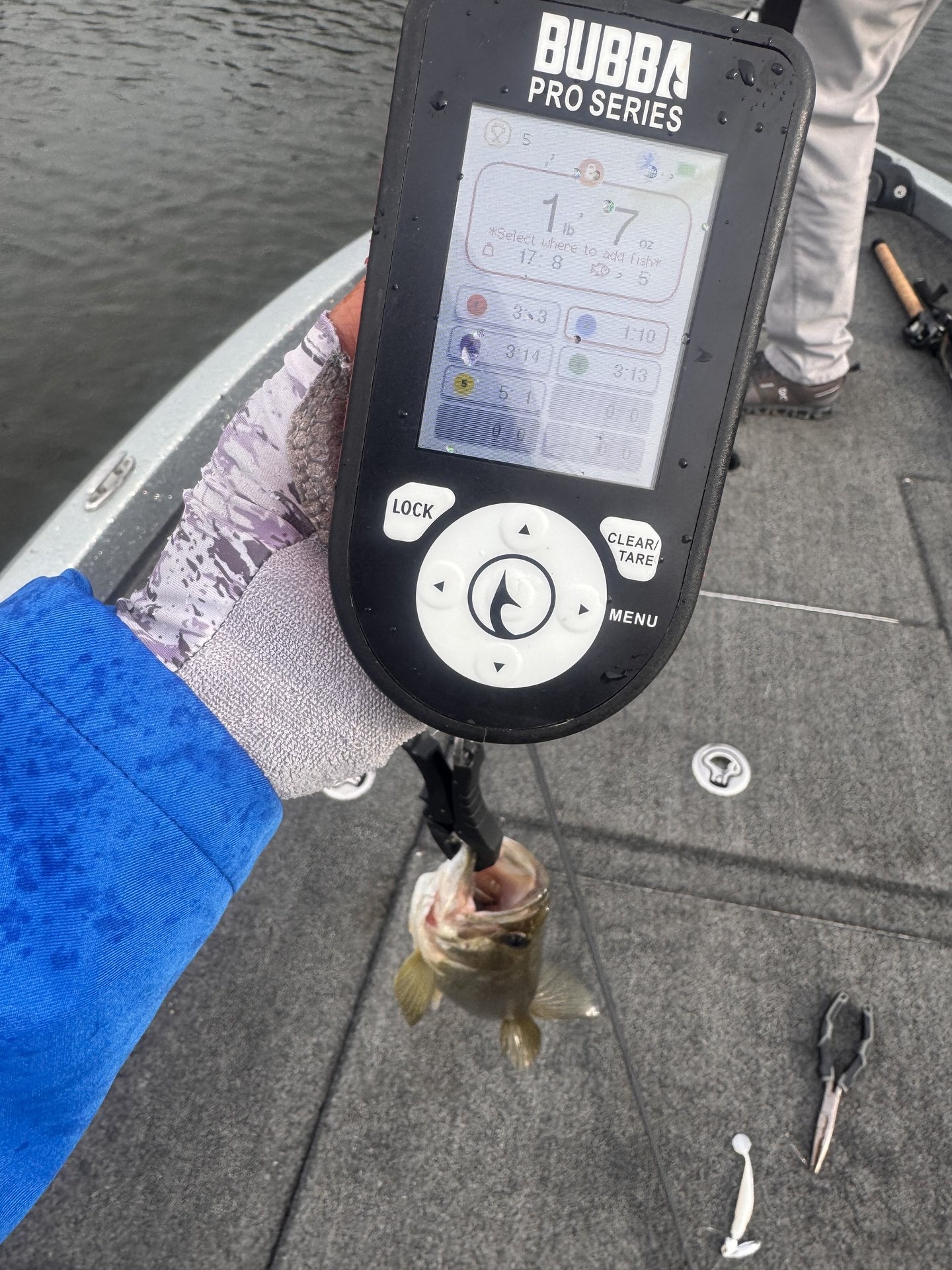Tammy Kimmel · Fish on Scale