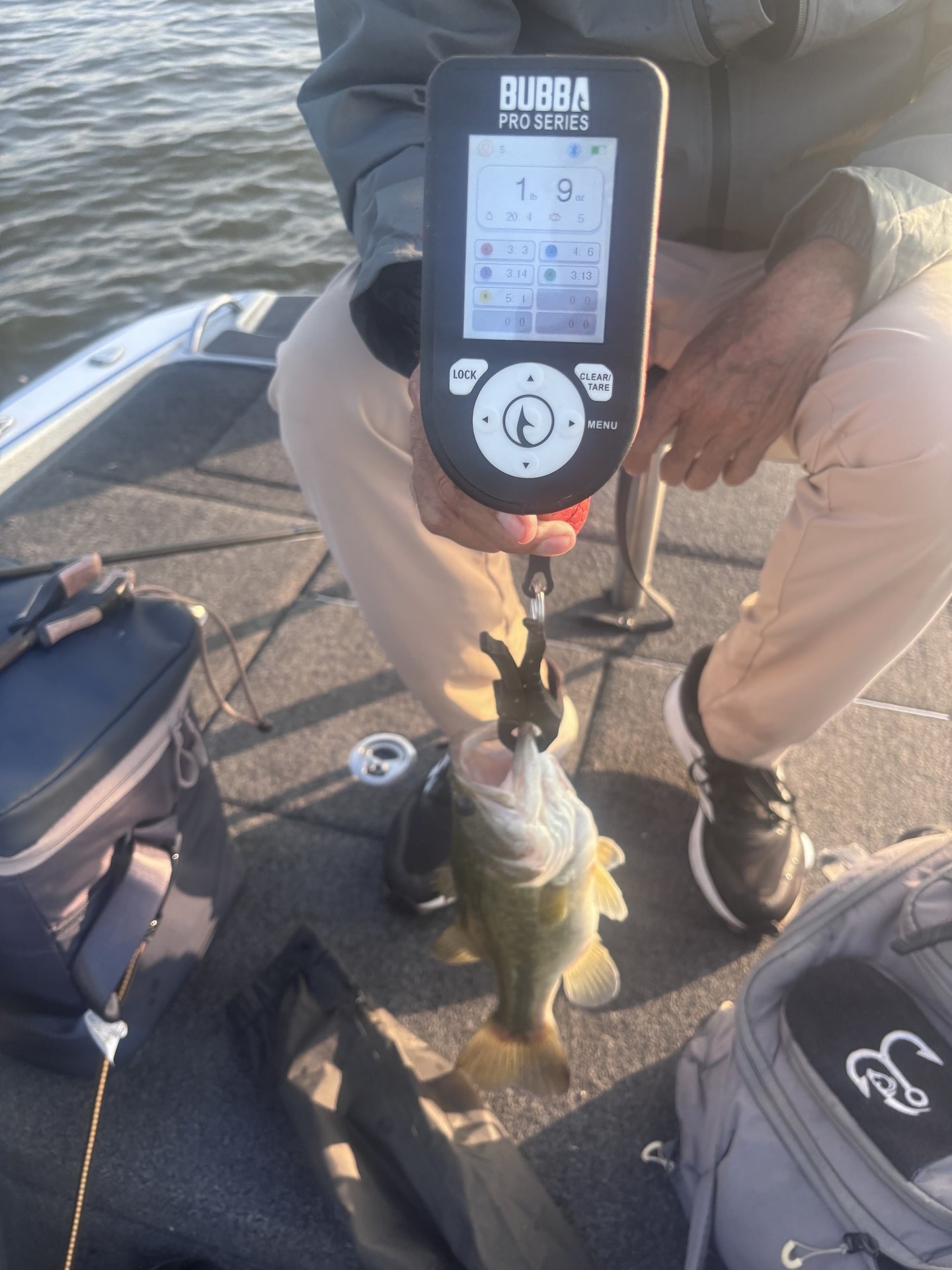 Louie Cruz · Fish on Scale