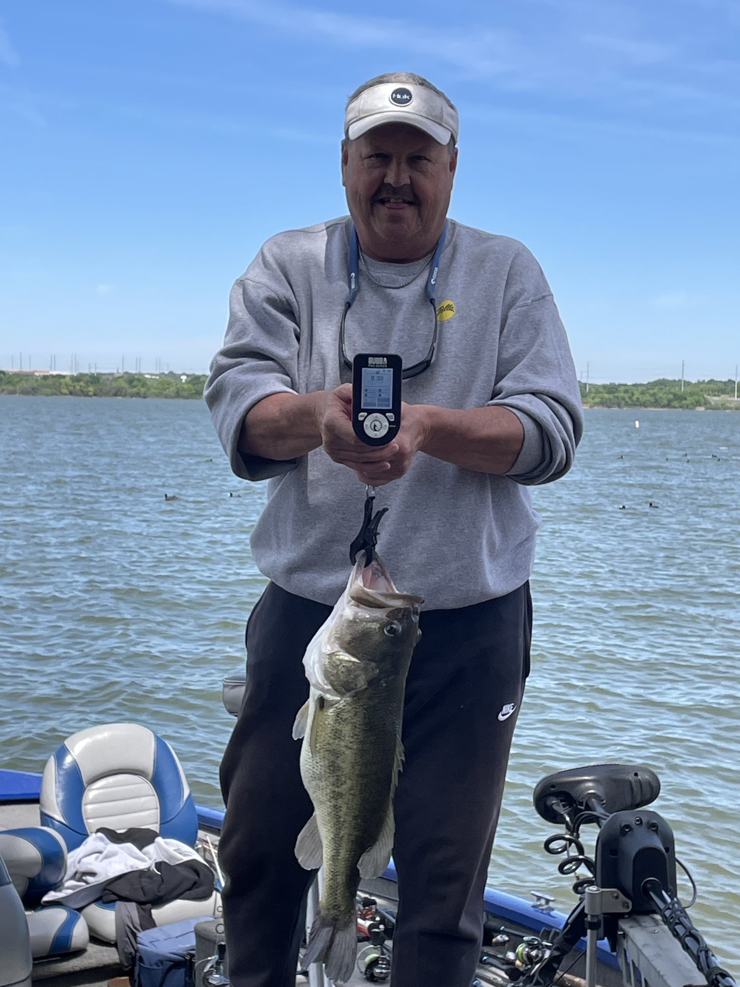 Largemouth Bass