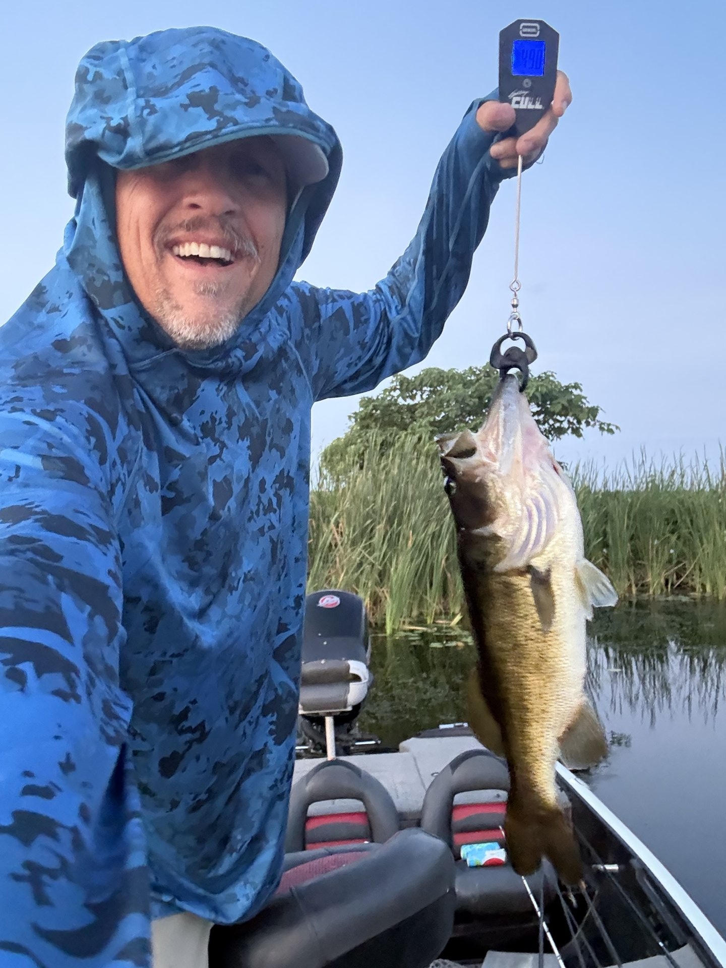 Dan Fay · Fish on Scale