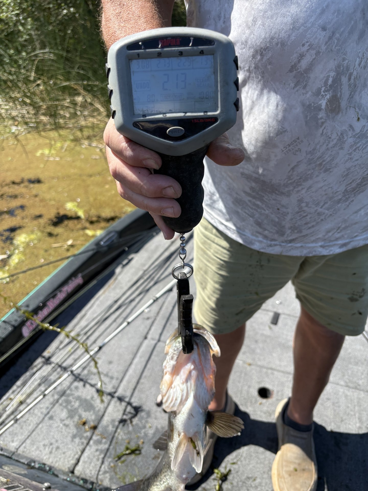 Largemouth Bass catch photo 2