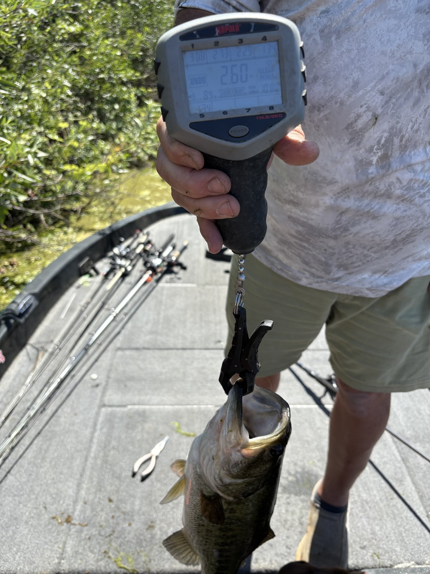 Largemouth Bass catch photo 2