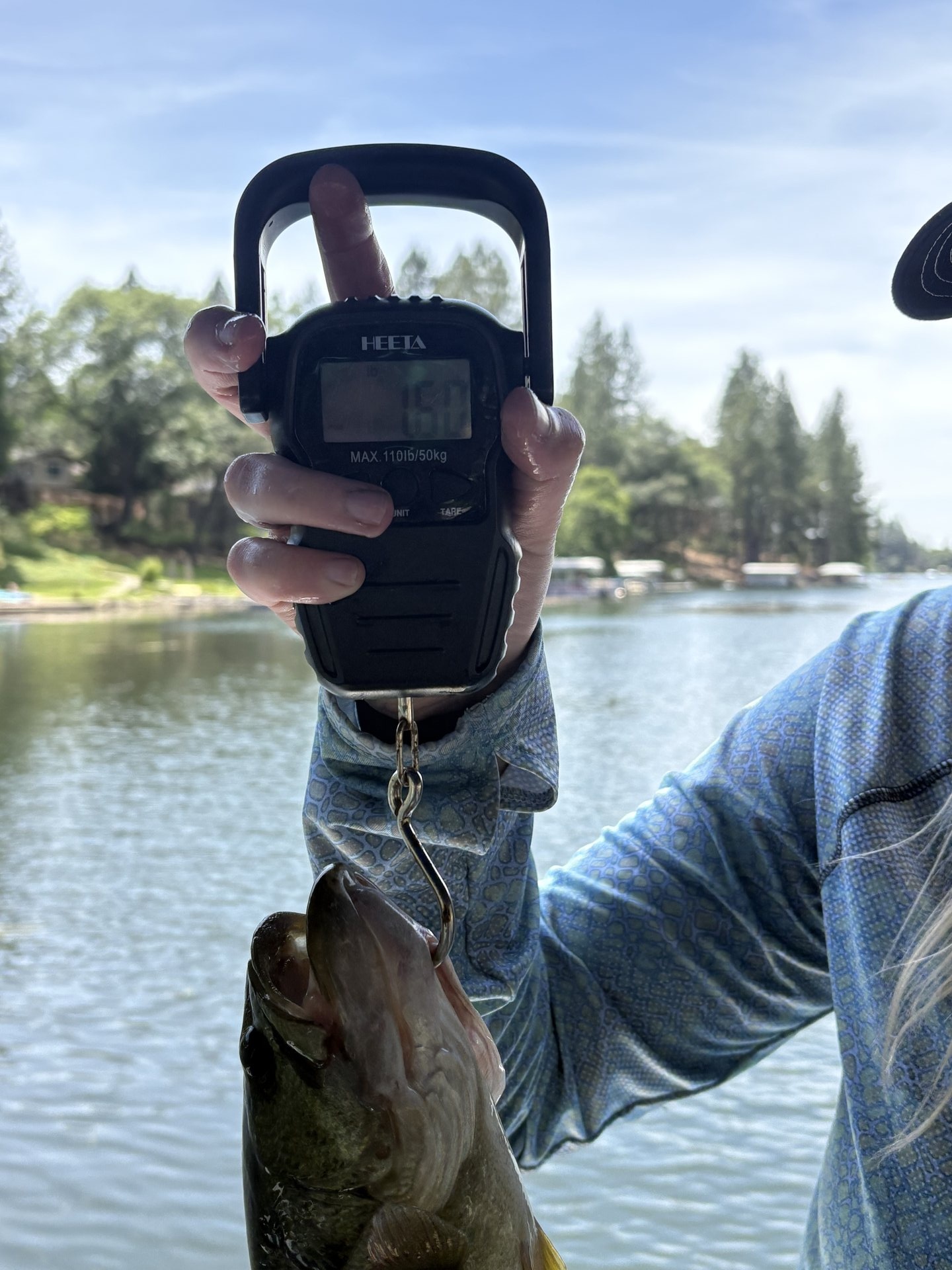 Largemouth Bass catch photo 2