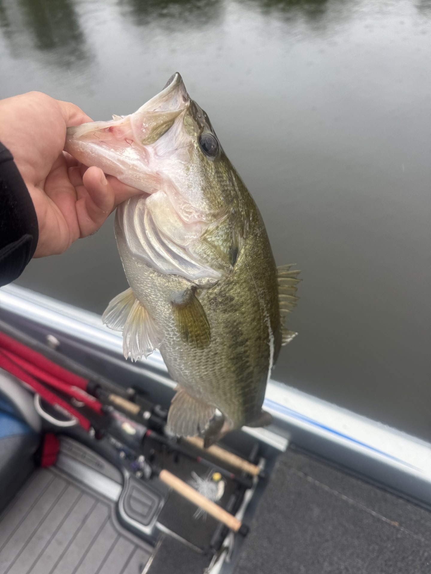Rick Cruz · Selfie with Fish