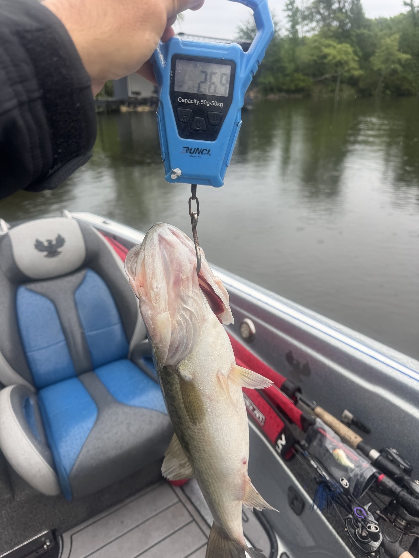 Rick Cruz · Fish on Scale