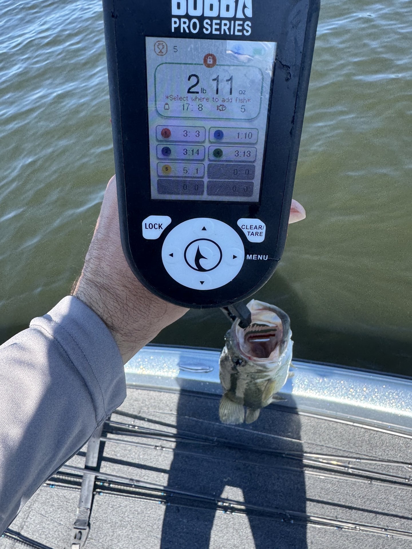 Rick Cruz · Fish on Scale