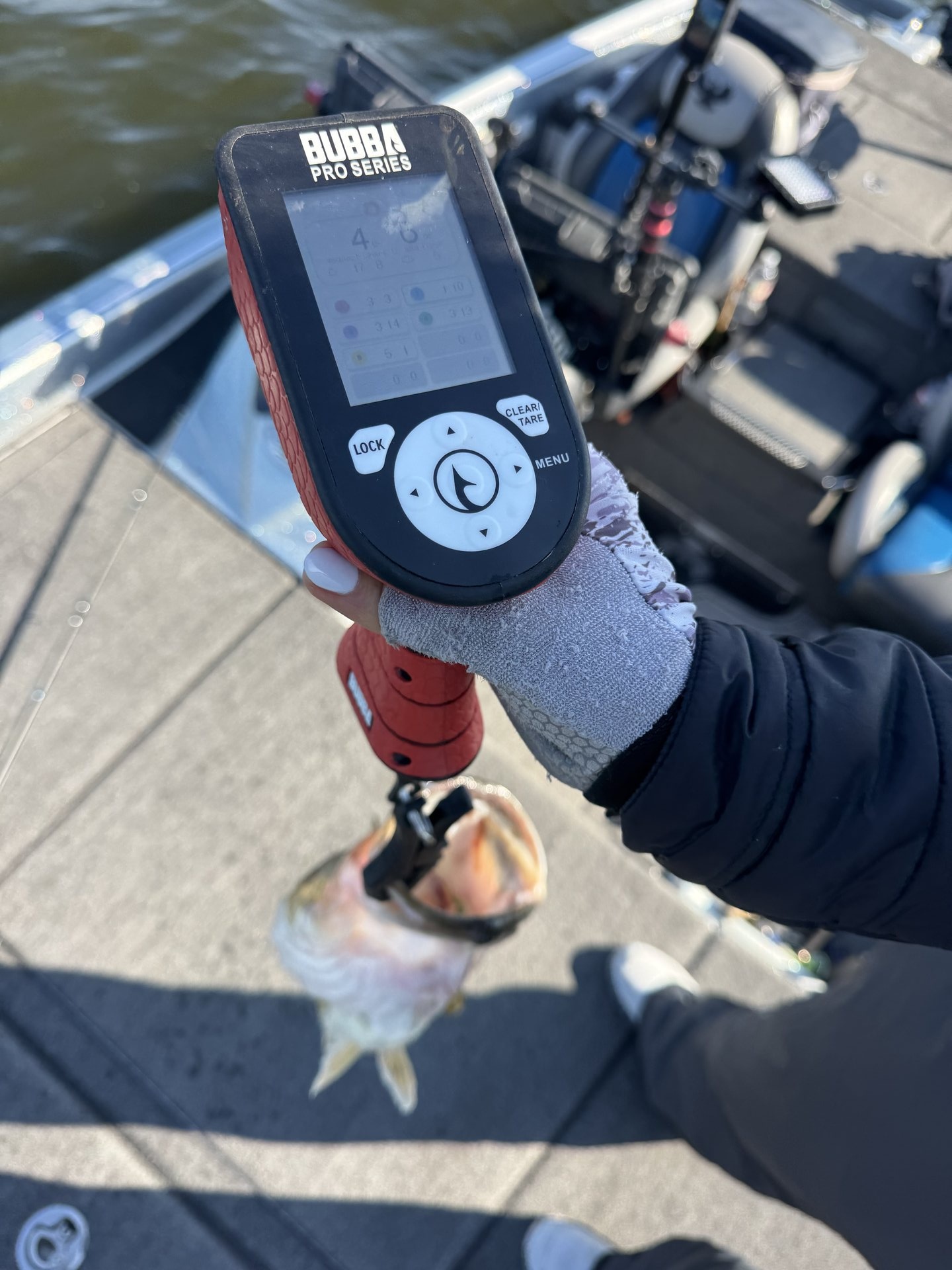 Largemouth Bass catch photo 2