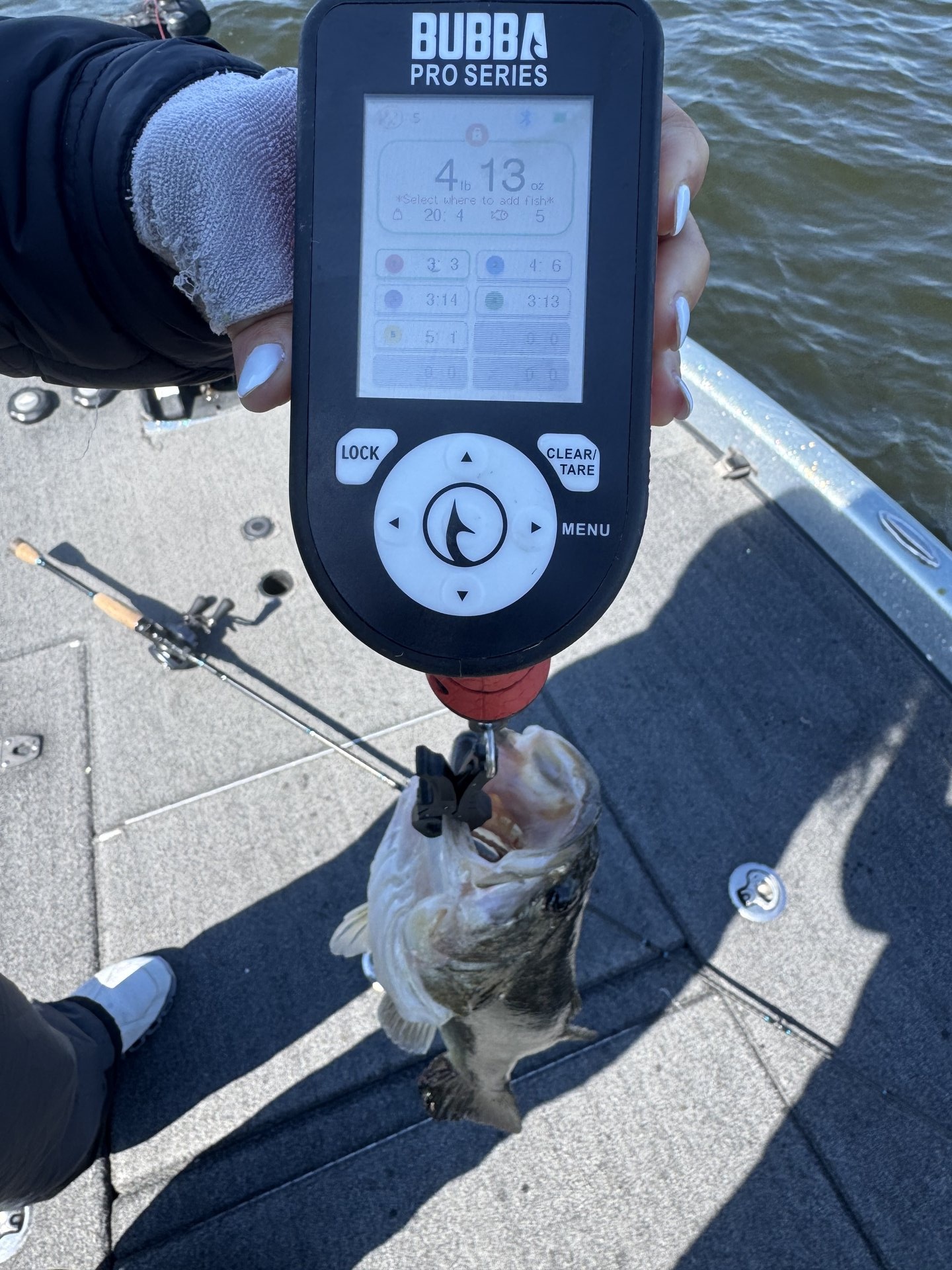 Largemouth Bass catch photo 2