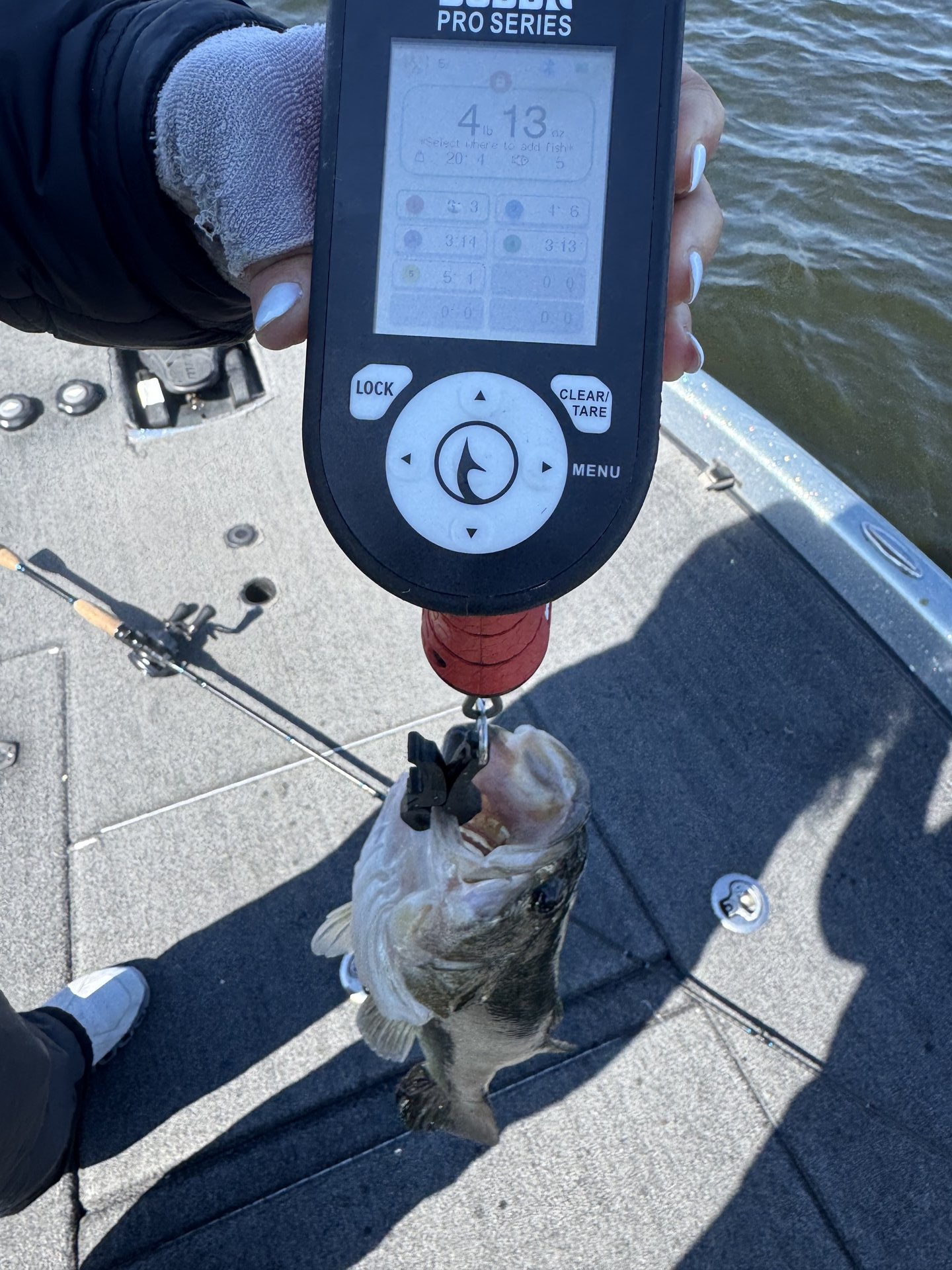 Largemouth Bass catch photo 2