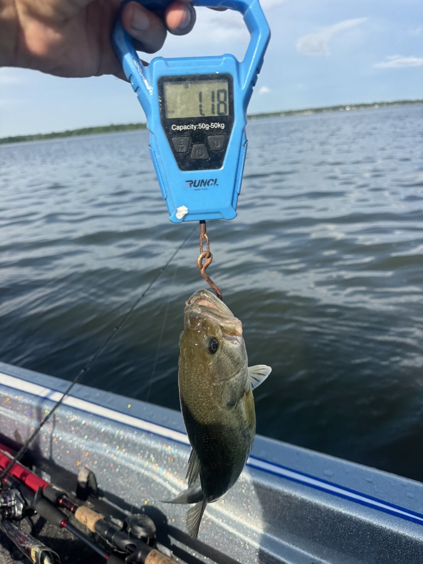Rick Cruz · Fish on Scale