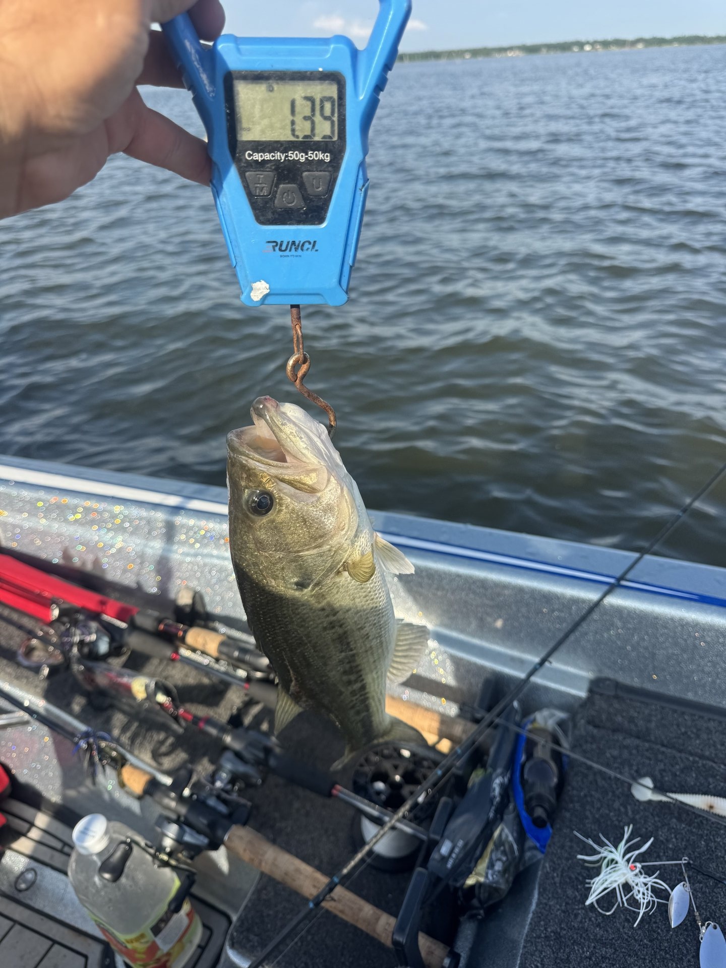 Largemouth Bass catch photo 2
