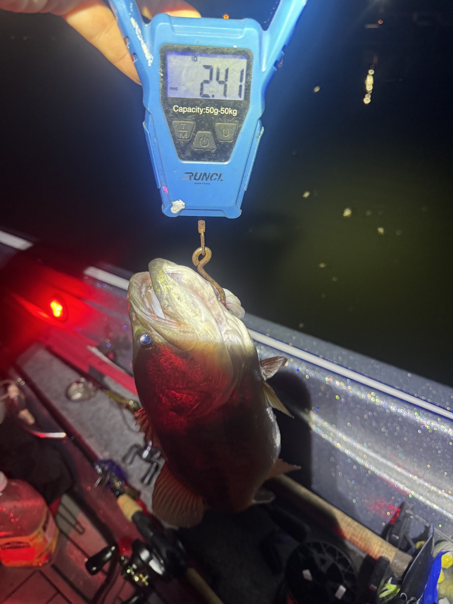 Largemouth Bass catch photo 2