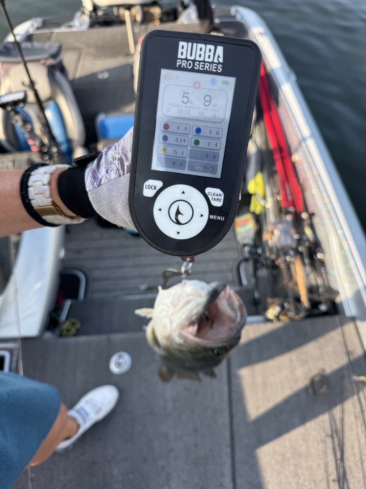 Largemouth Bass