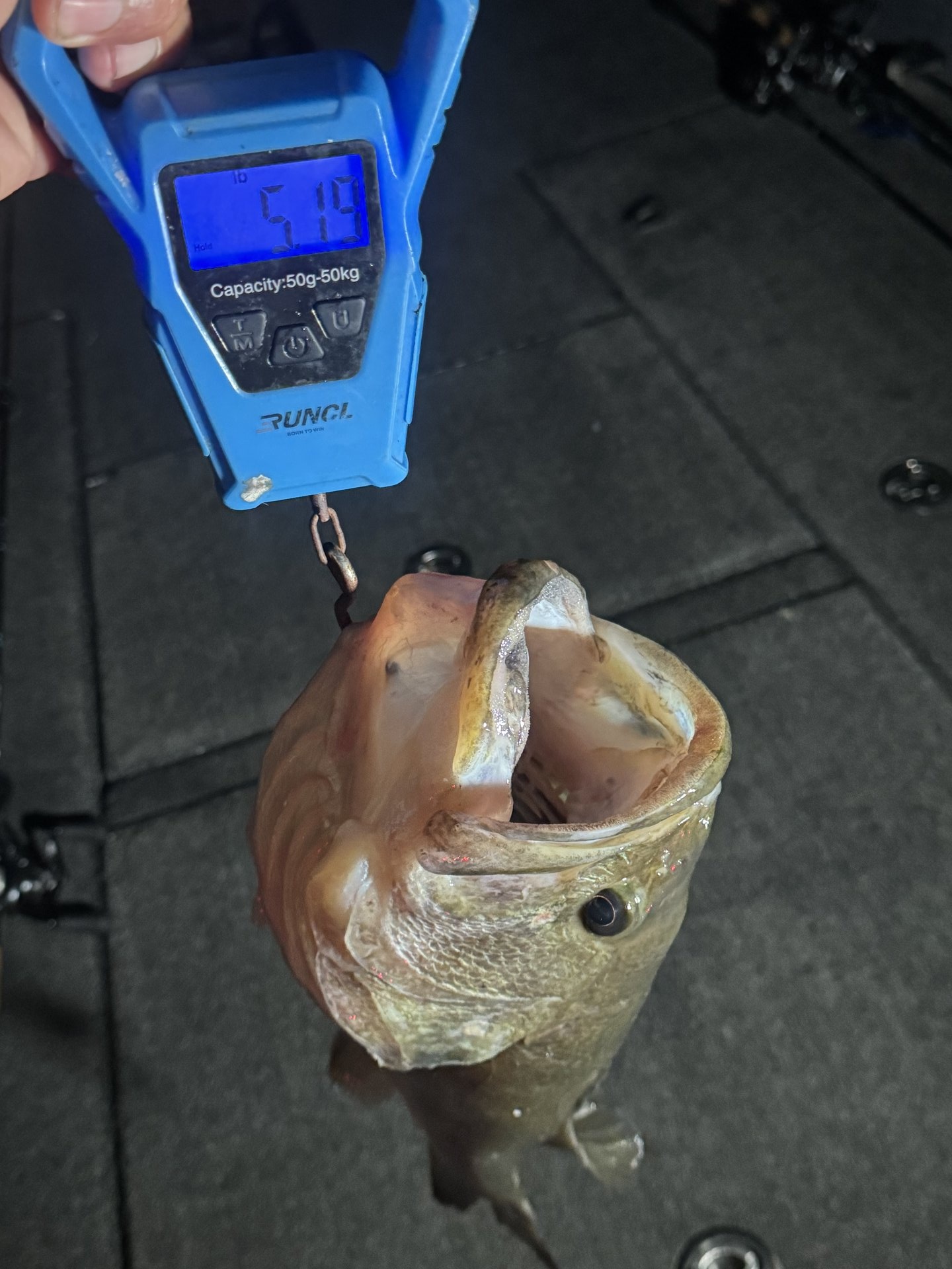 Largemouth Bass catch photo 2