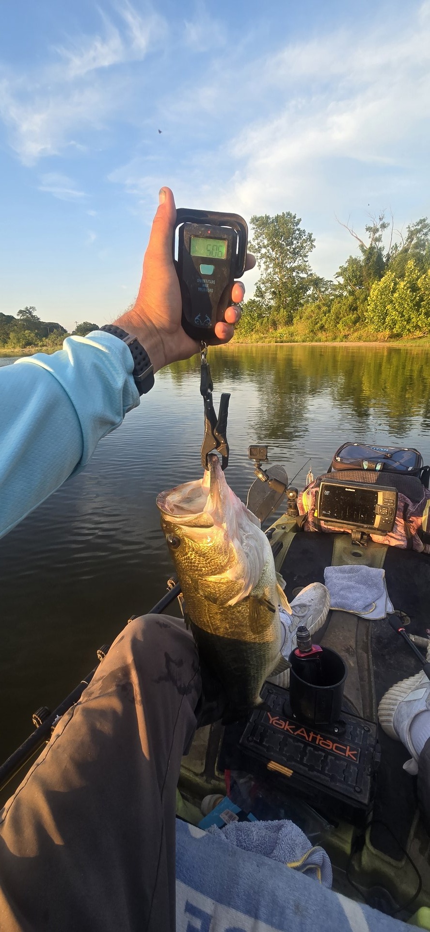 Largemouth Bass