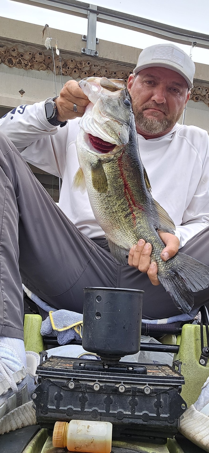 Largemouth Bass