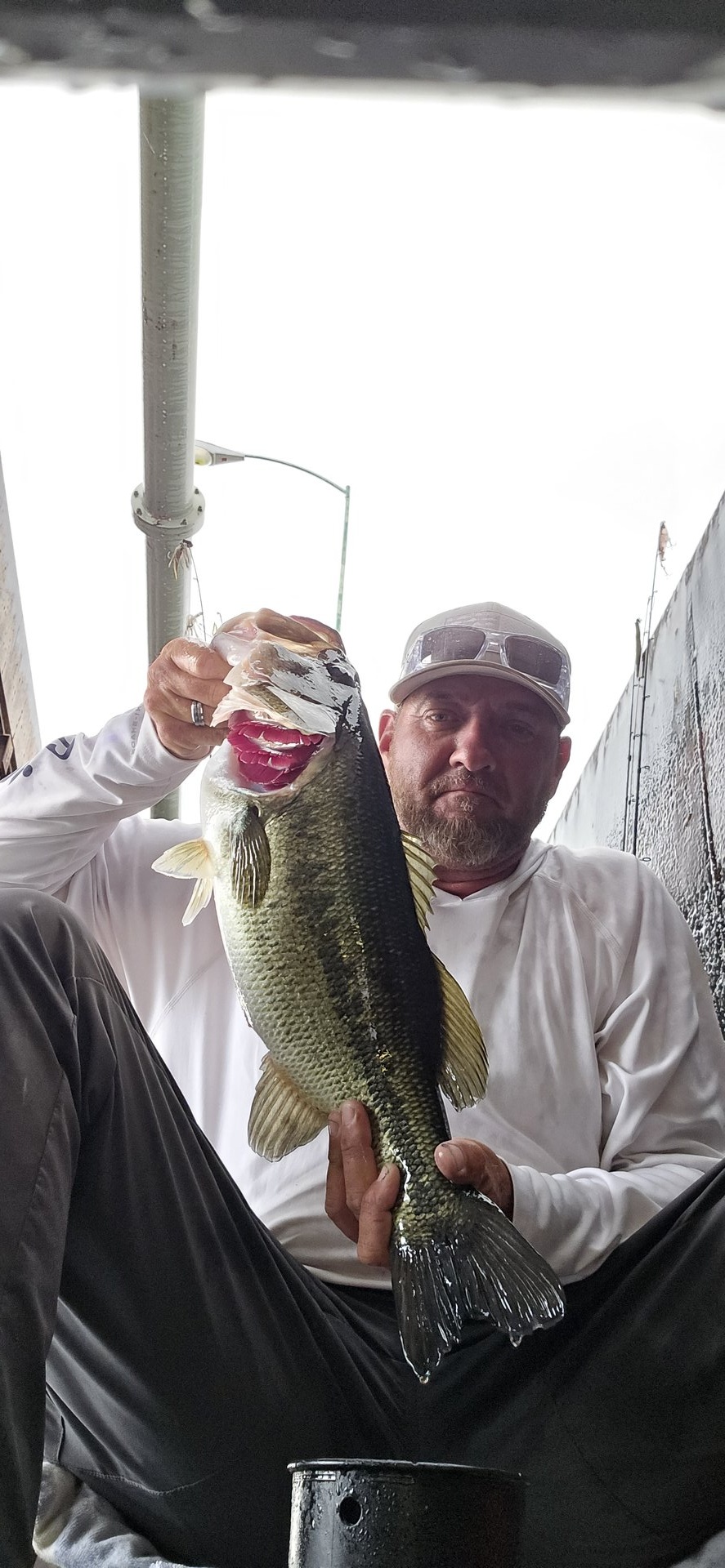 Largemouth Bass